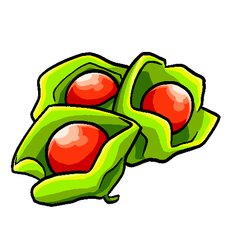 Ashwaganda