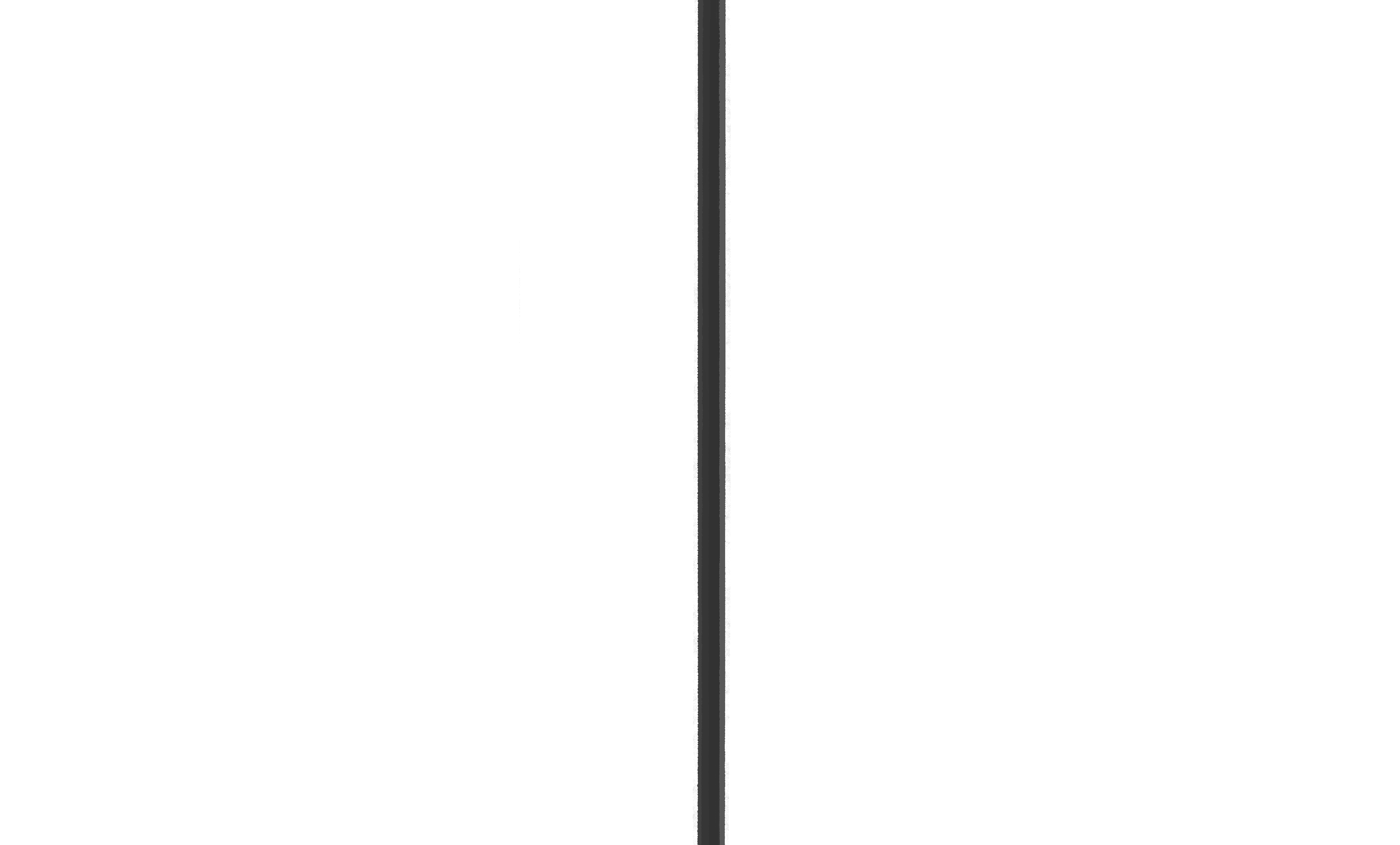 S19-55 Extreme Foreground Dividing Wall