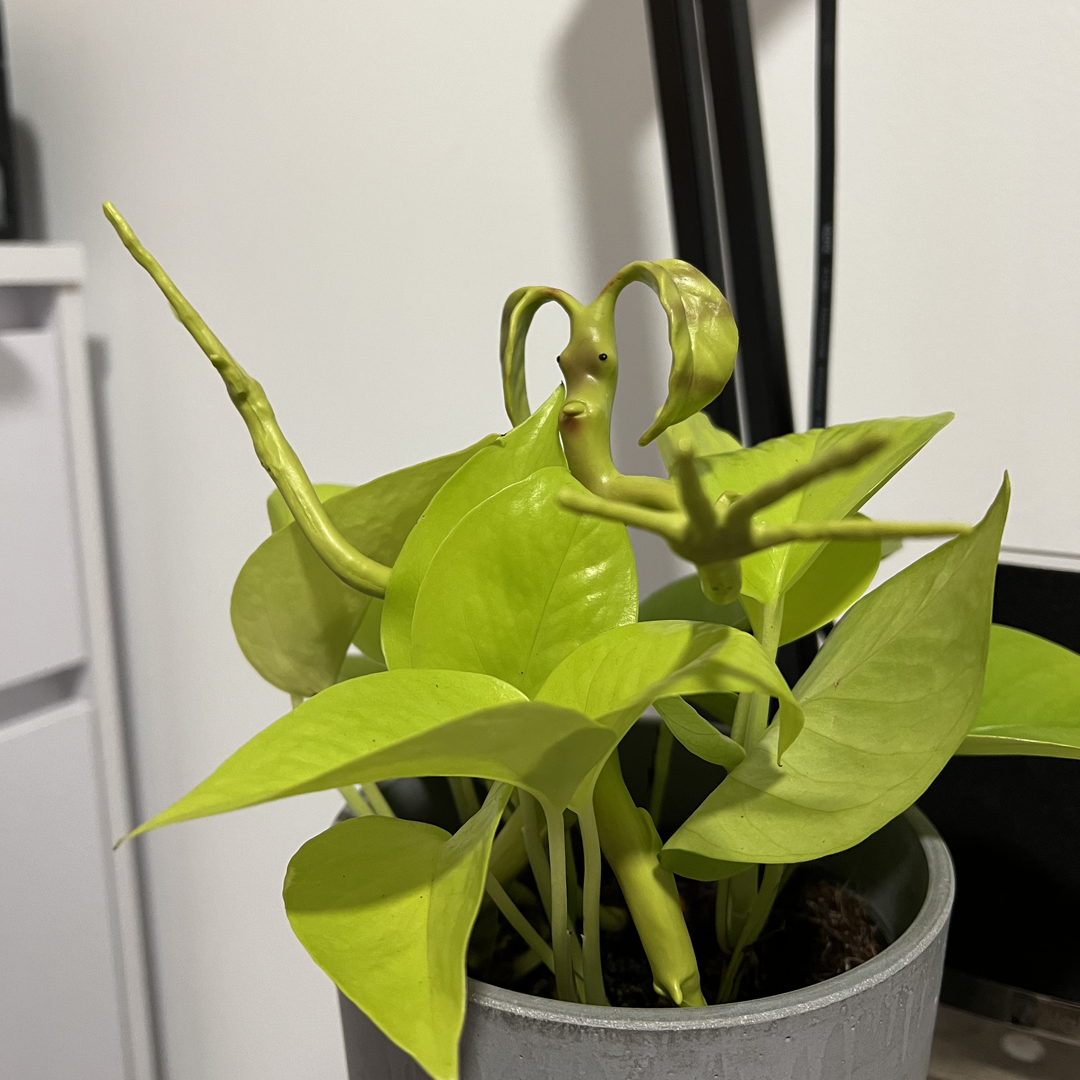 My Space