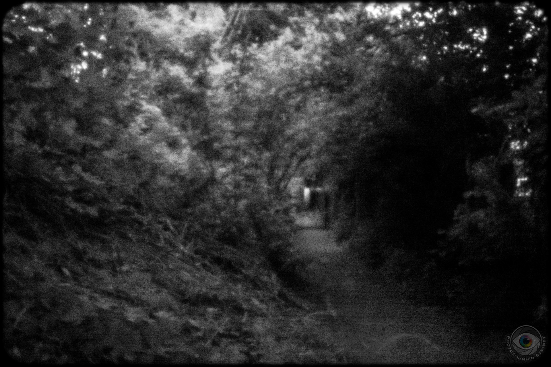 Hidden Path
