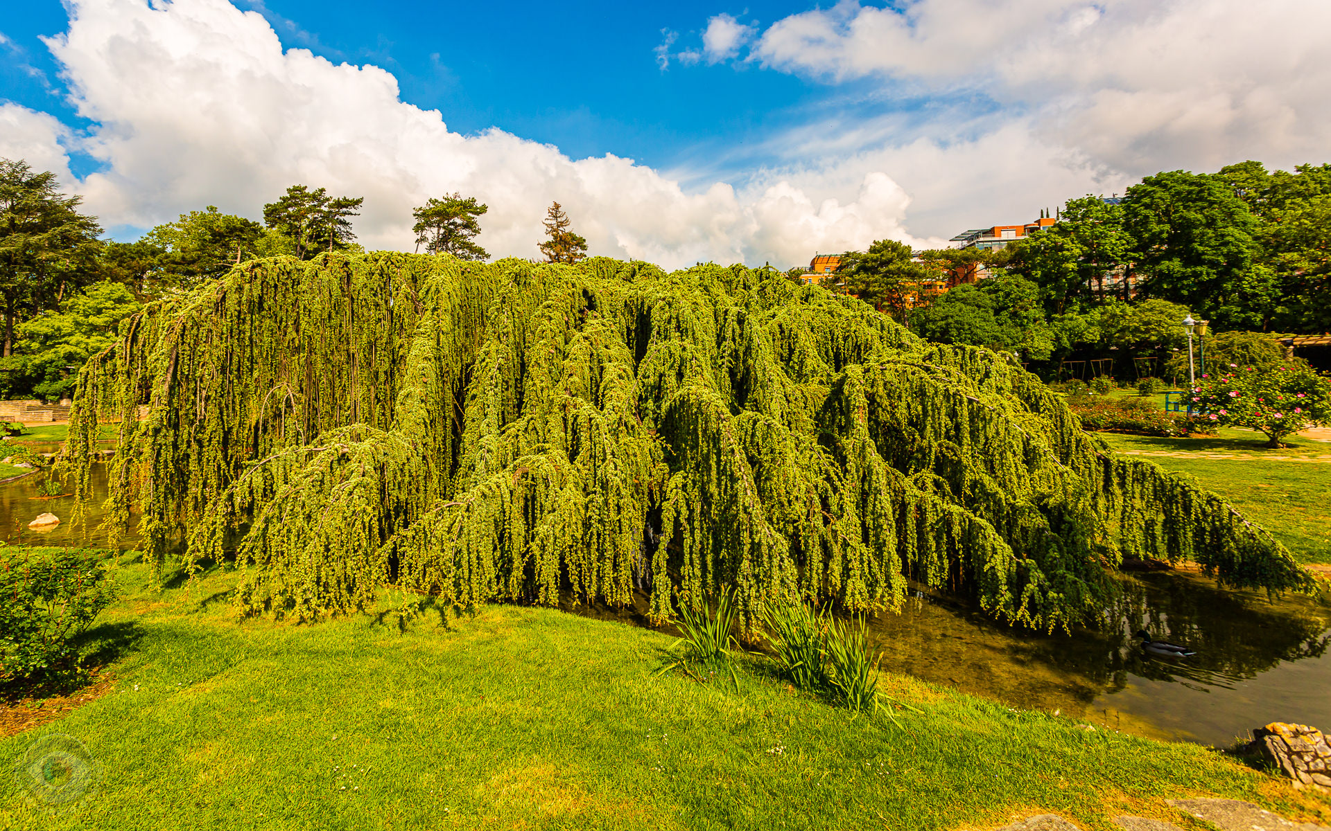 Parc de la Tête d'Or