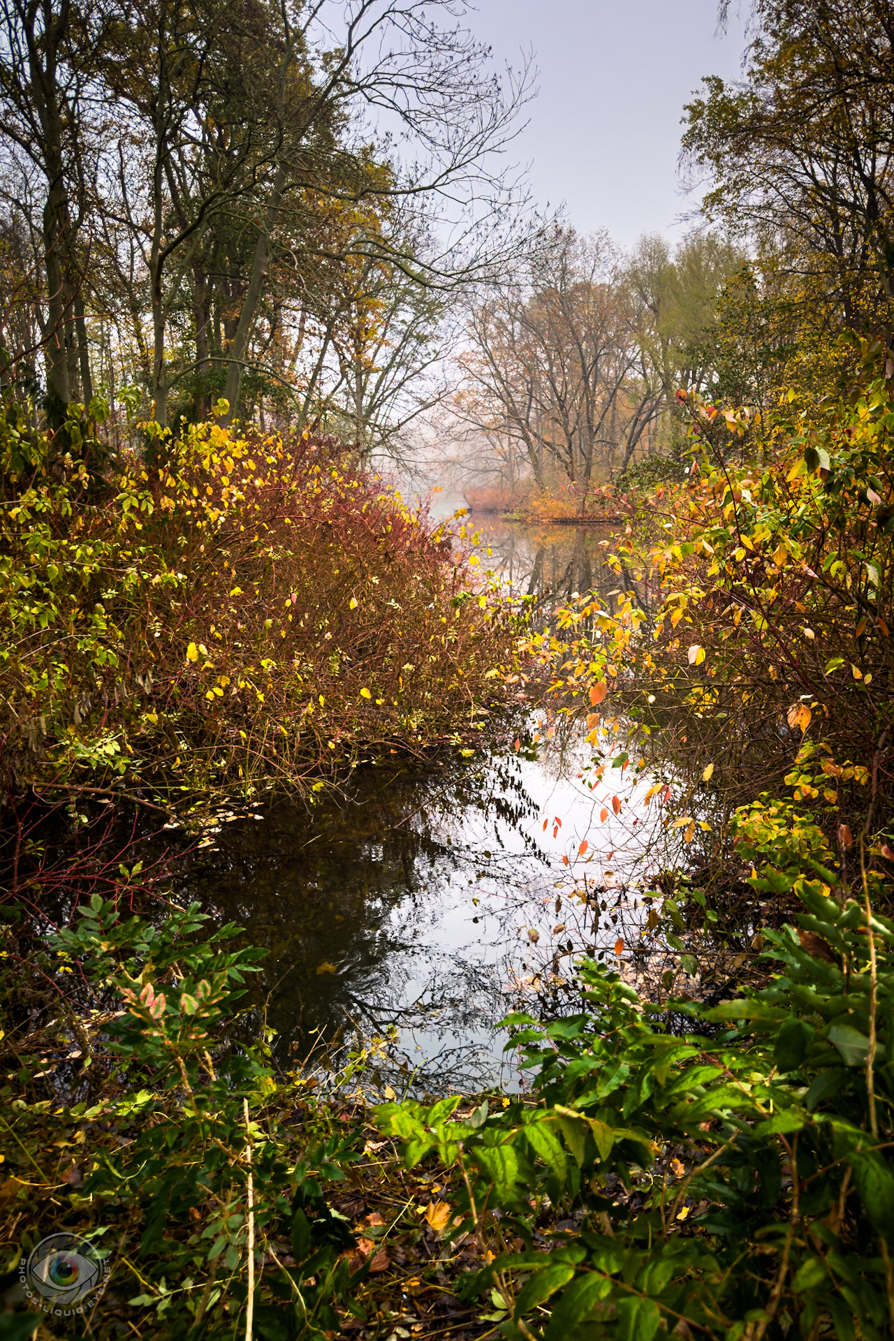 Autumn Mood • Tiergarten