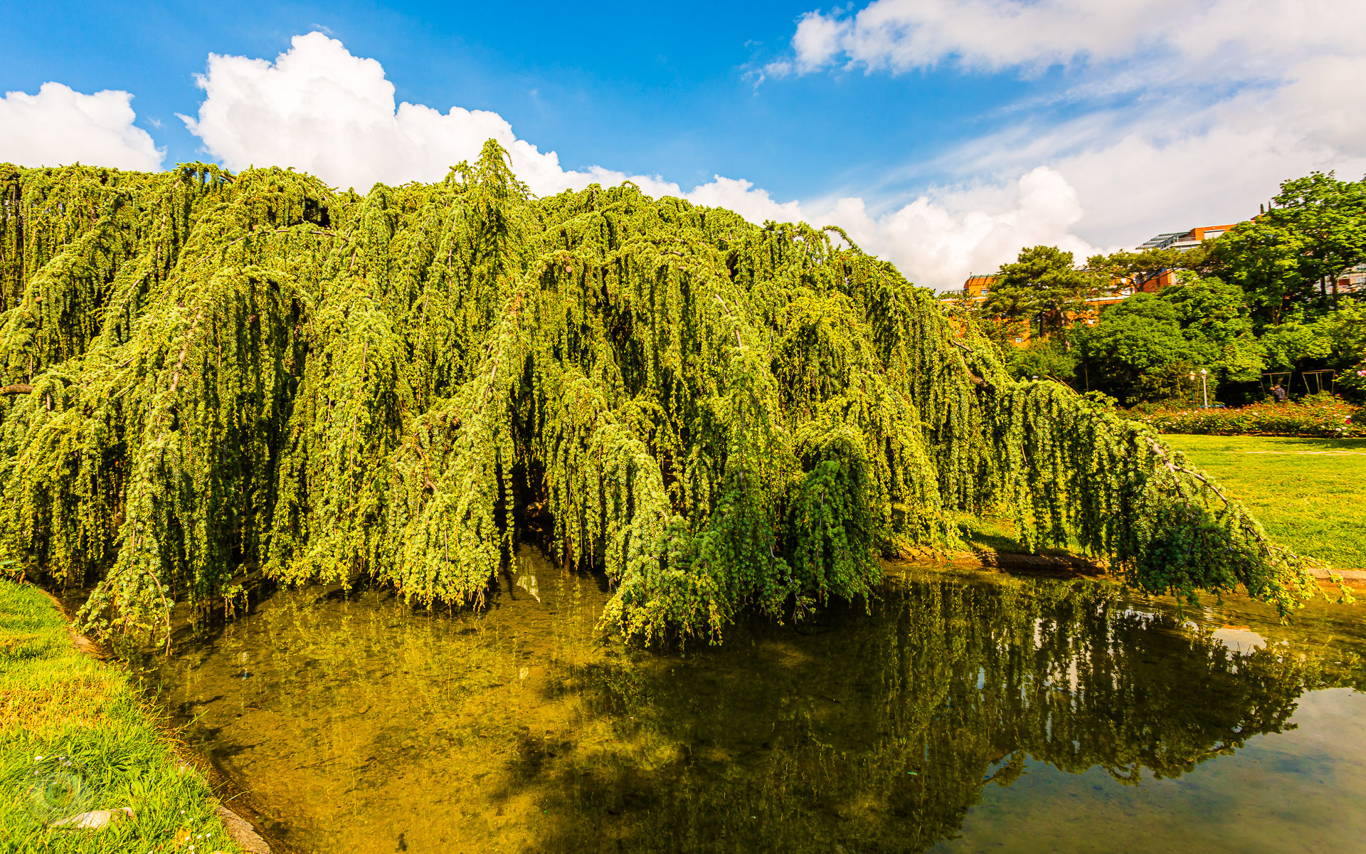 Parc de la Tête d'Or