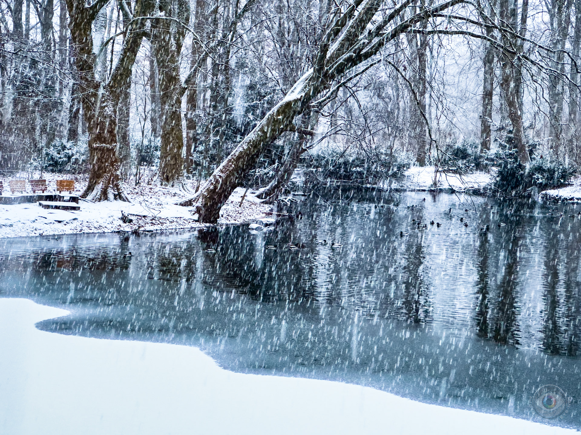 Winter Wonderland • Neuer See, Tiergarten