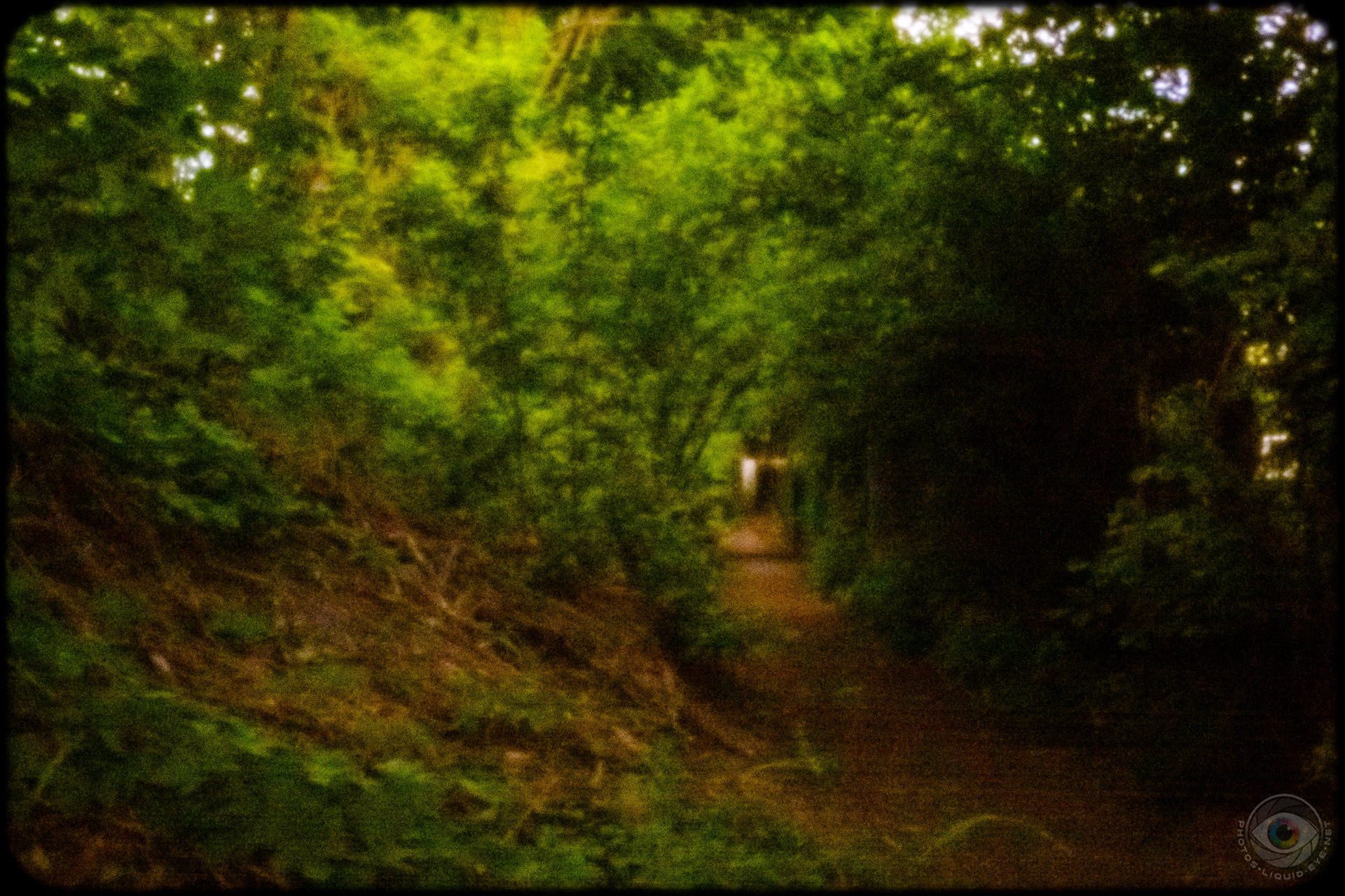 Hidden Path