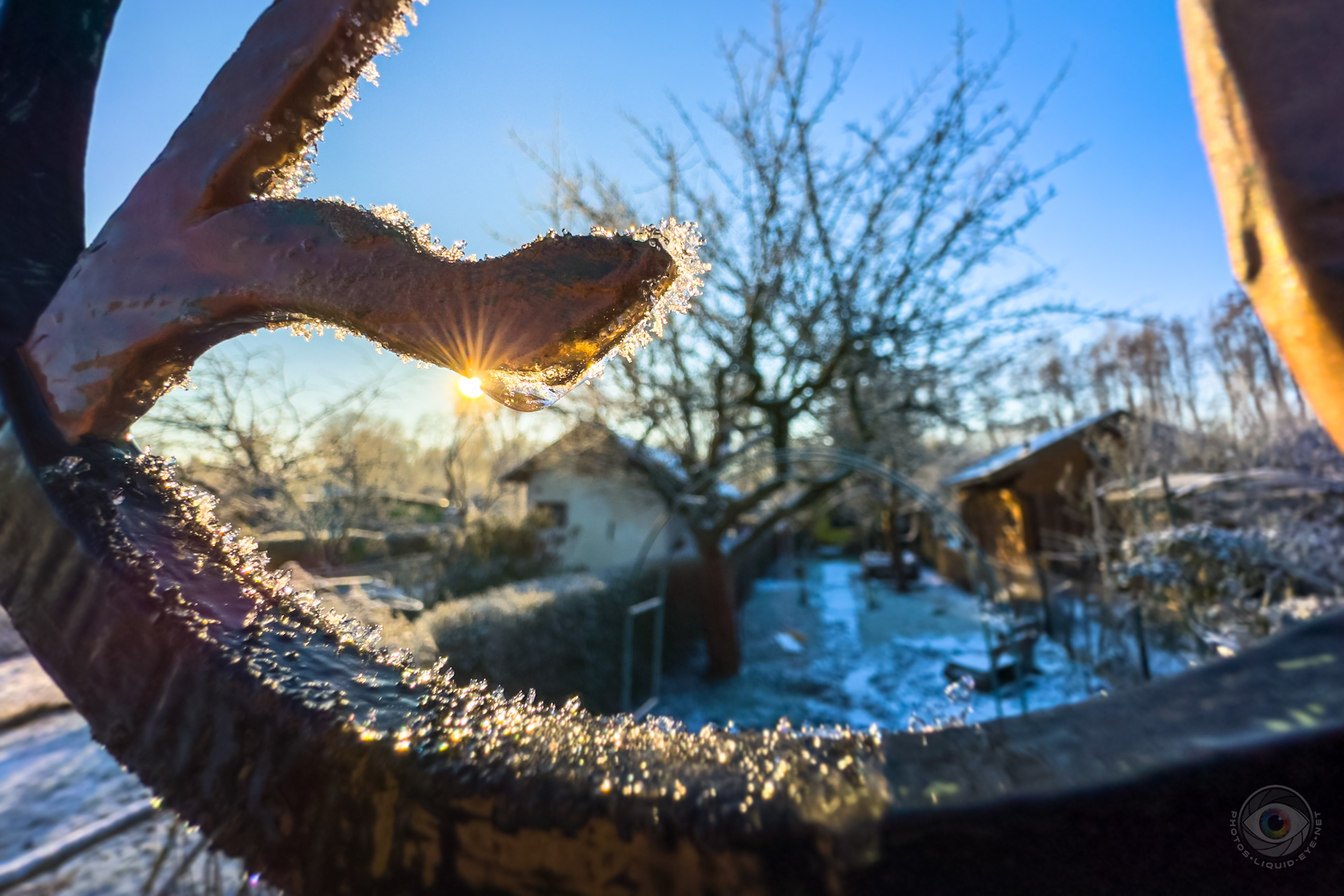 Winter Morning Sun