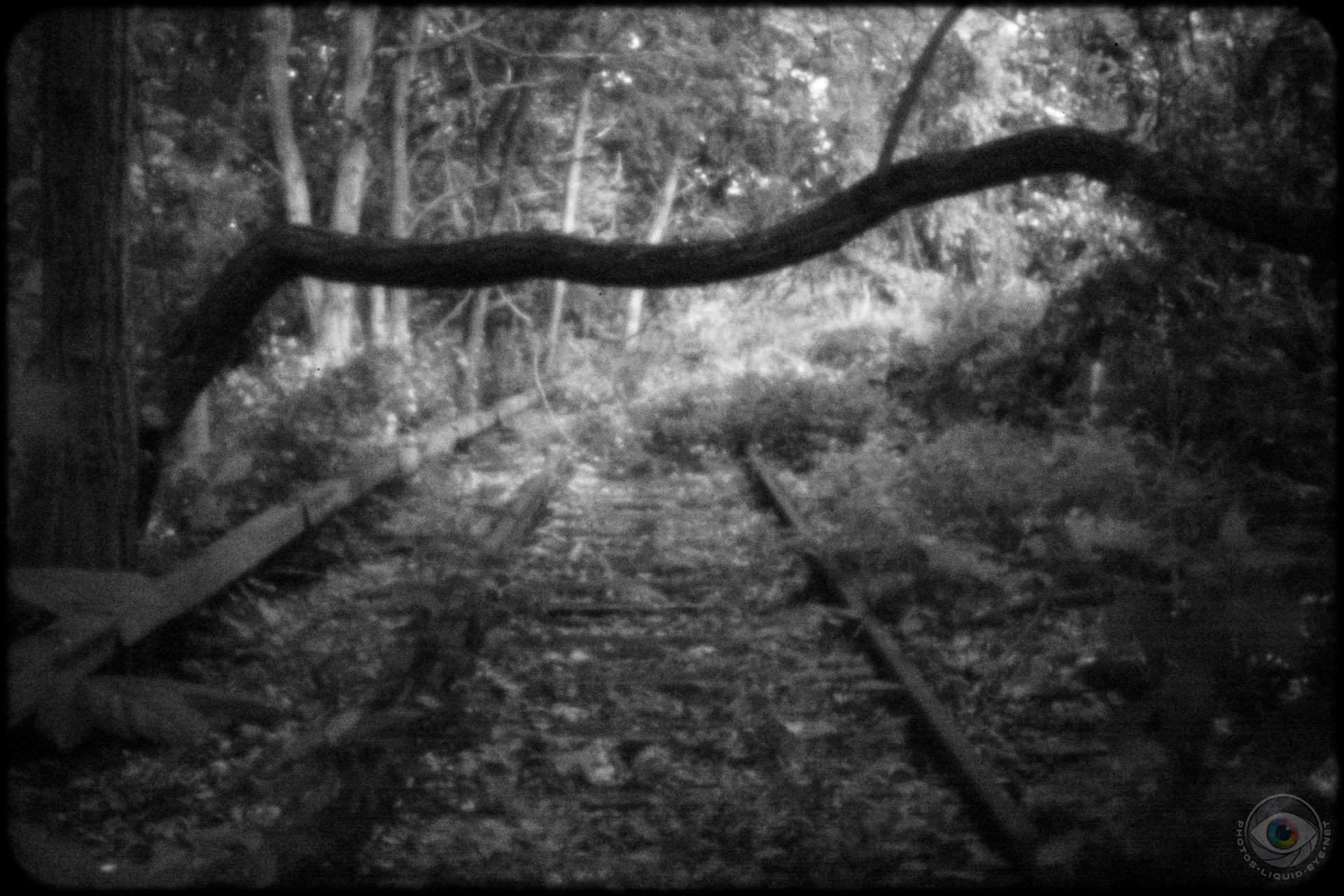 Abandoned Train Tracks