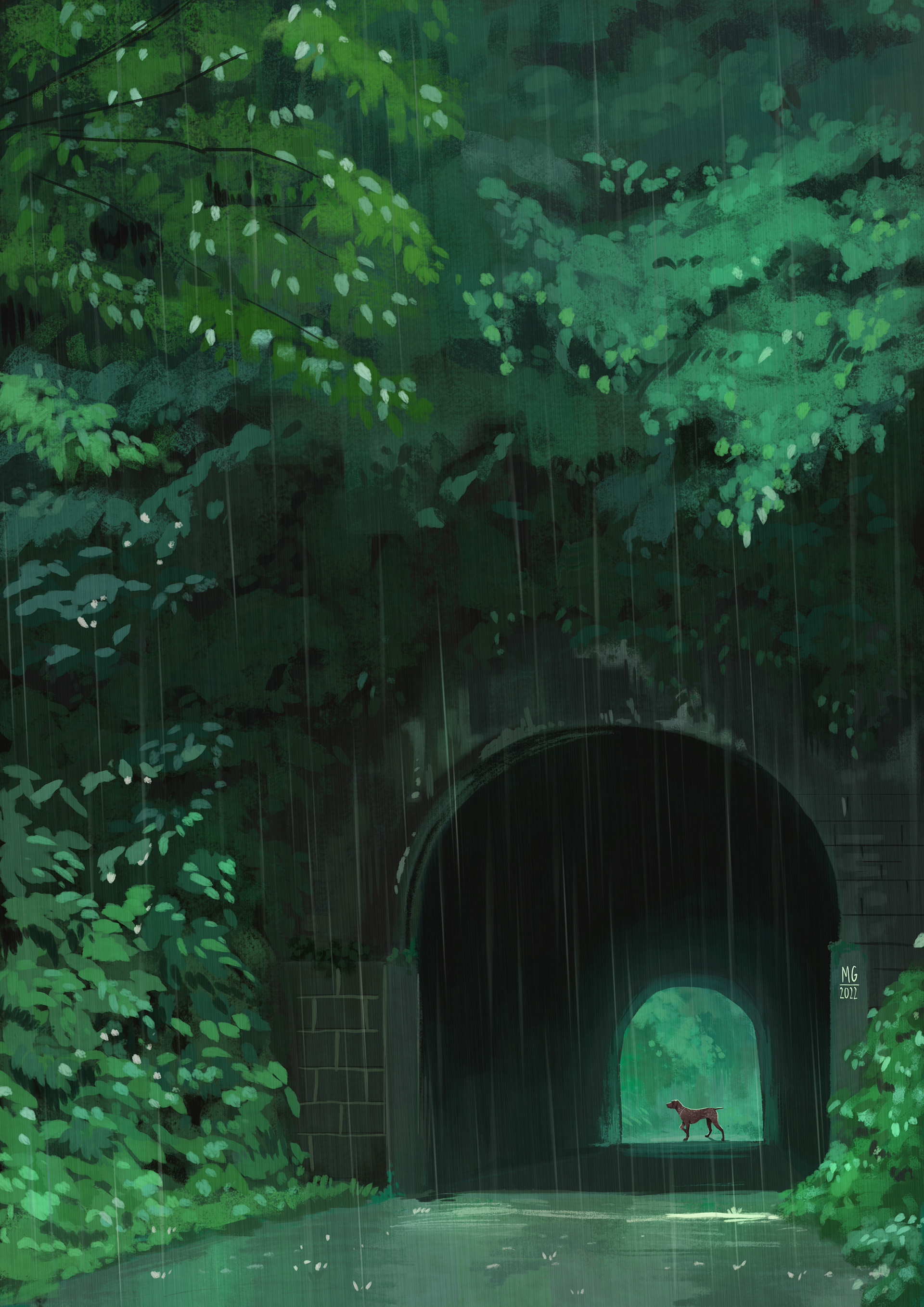 Dog Friend at the end of the Tunnel