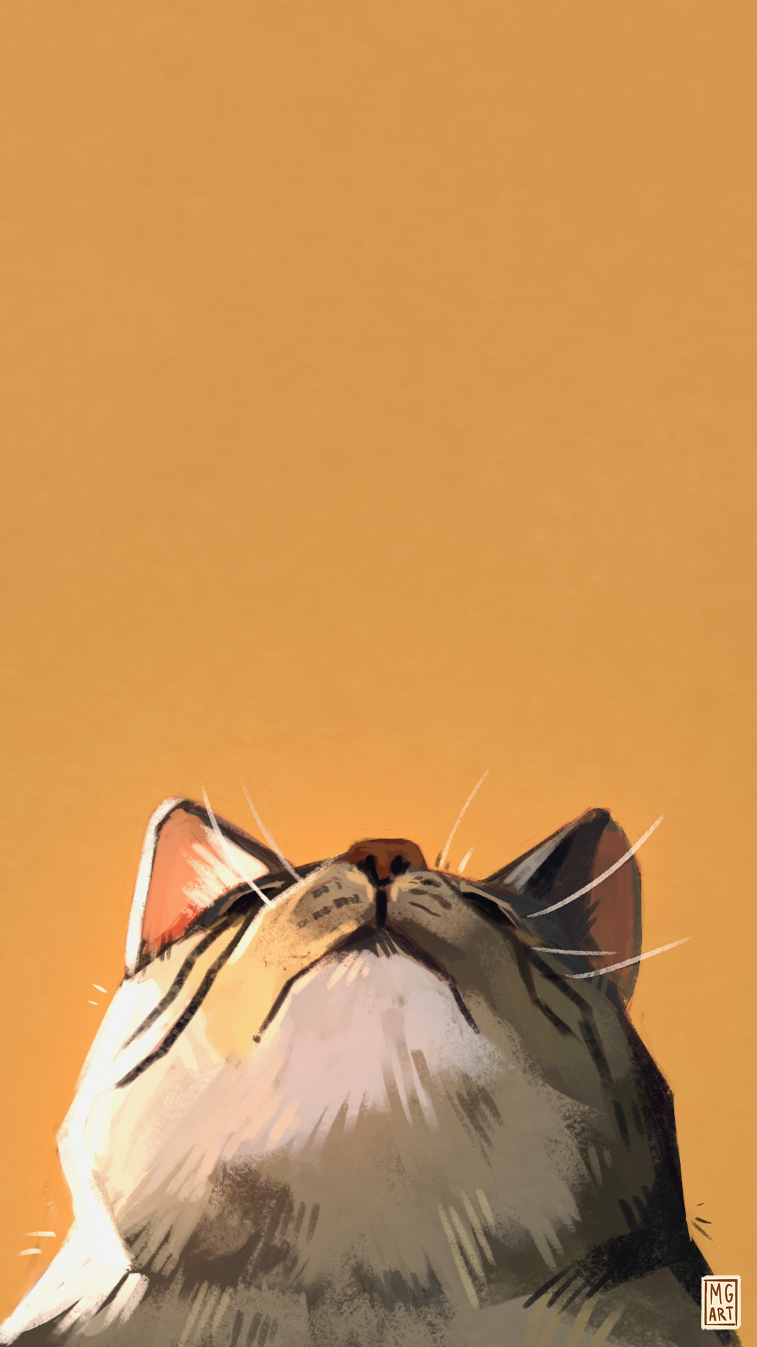 Cat Looking Up