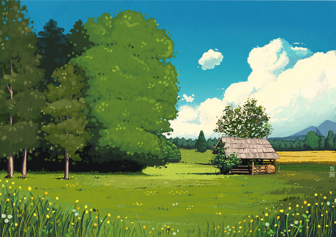 The Field Behind Our Home