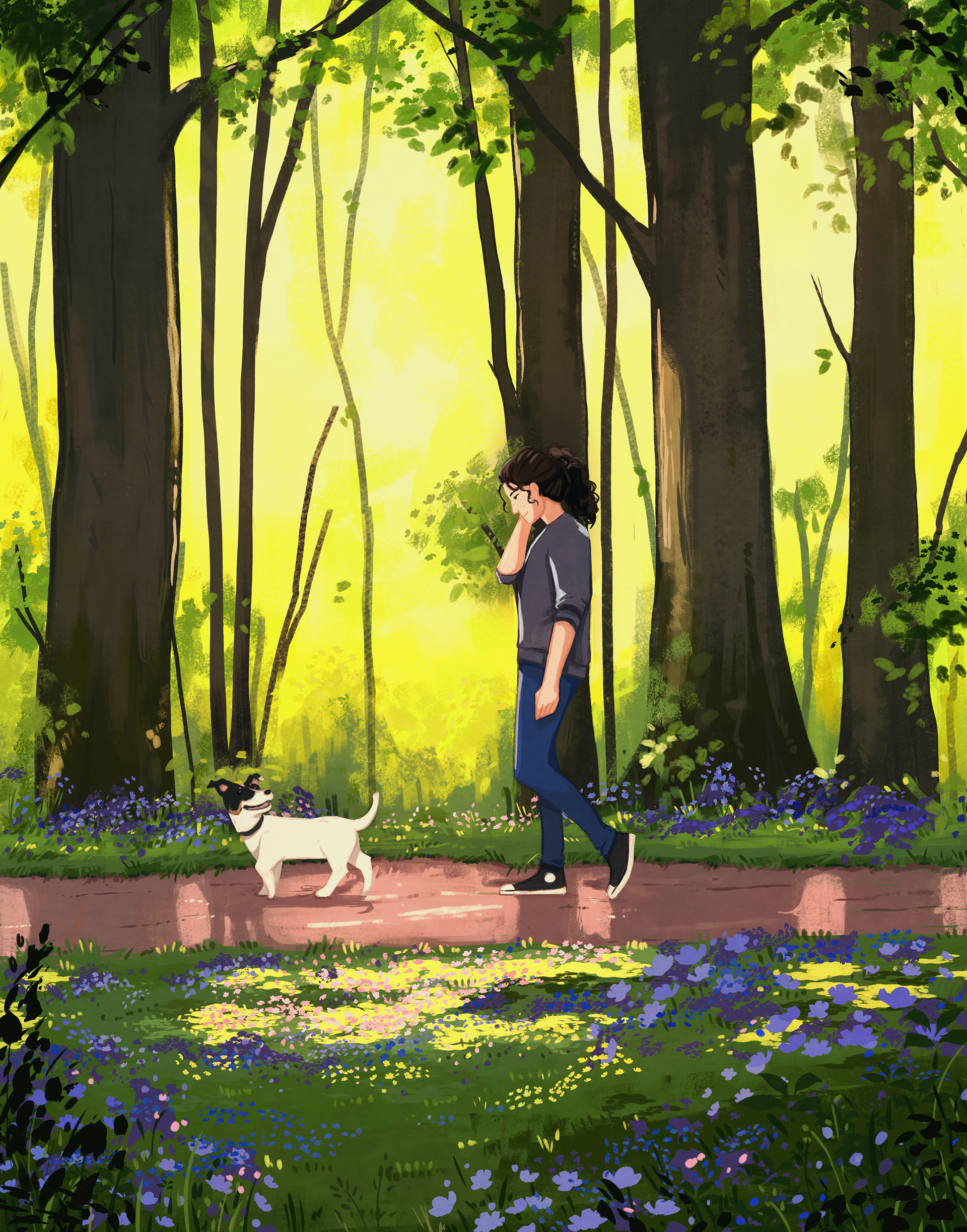 A companion for your walks commission