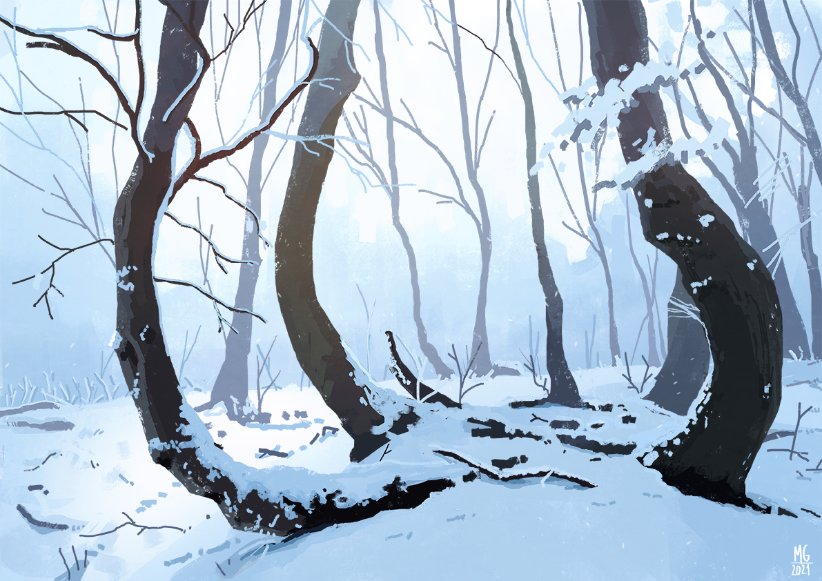 Snowy Forest