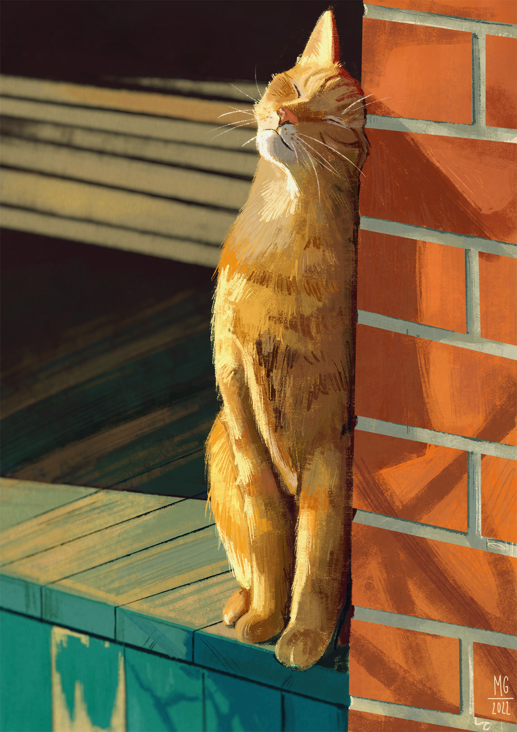 Cat in the sun