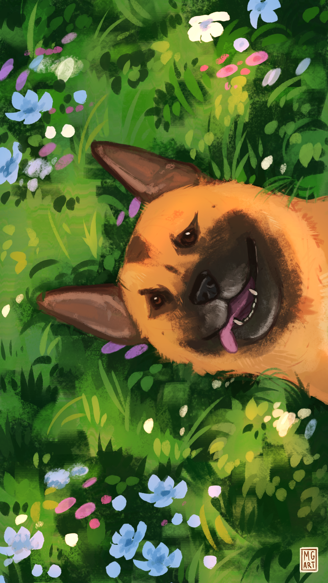 Dog Laying in Grass