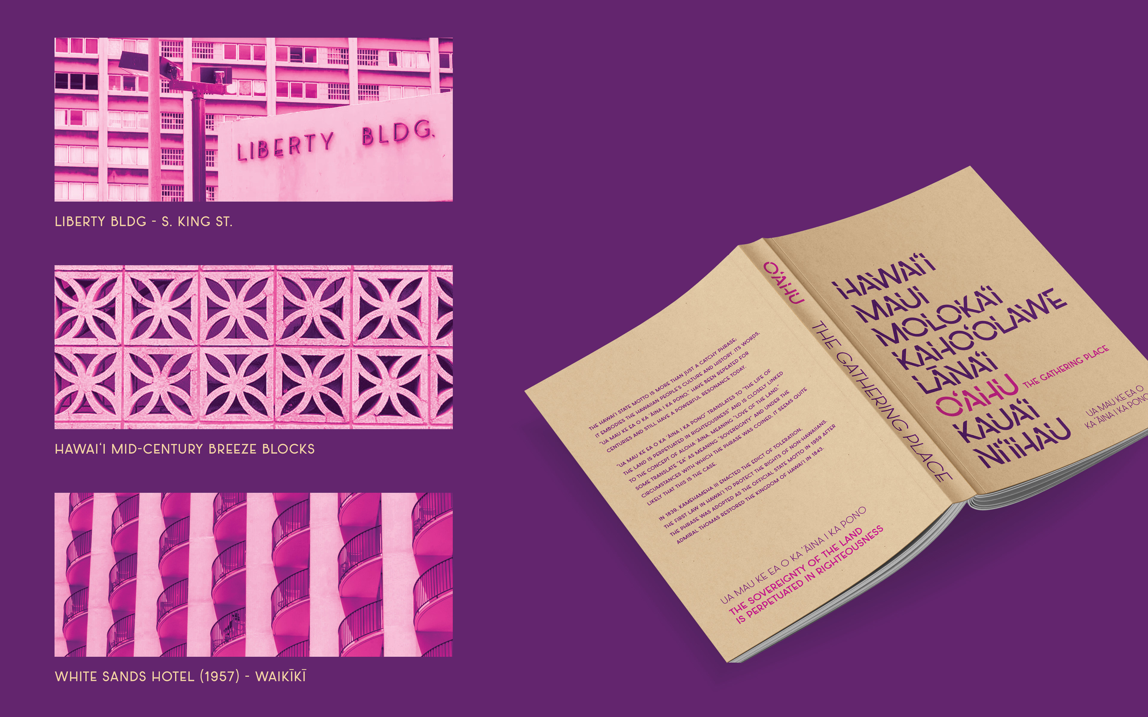 Inspiration and Proposed Book