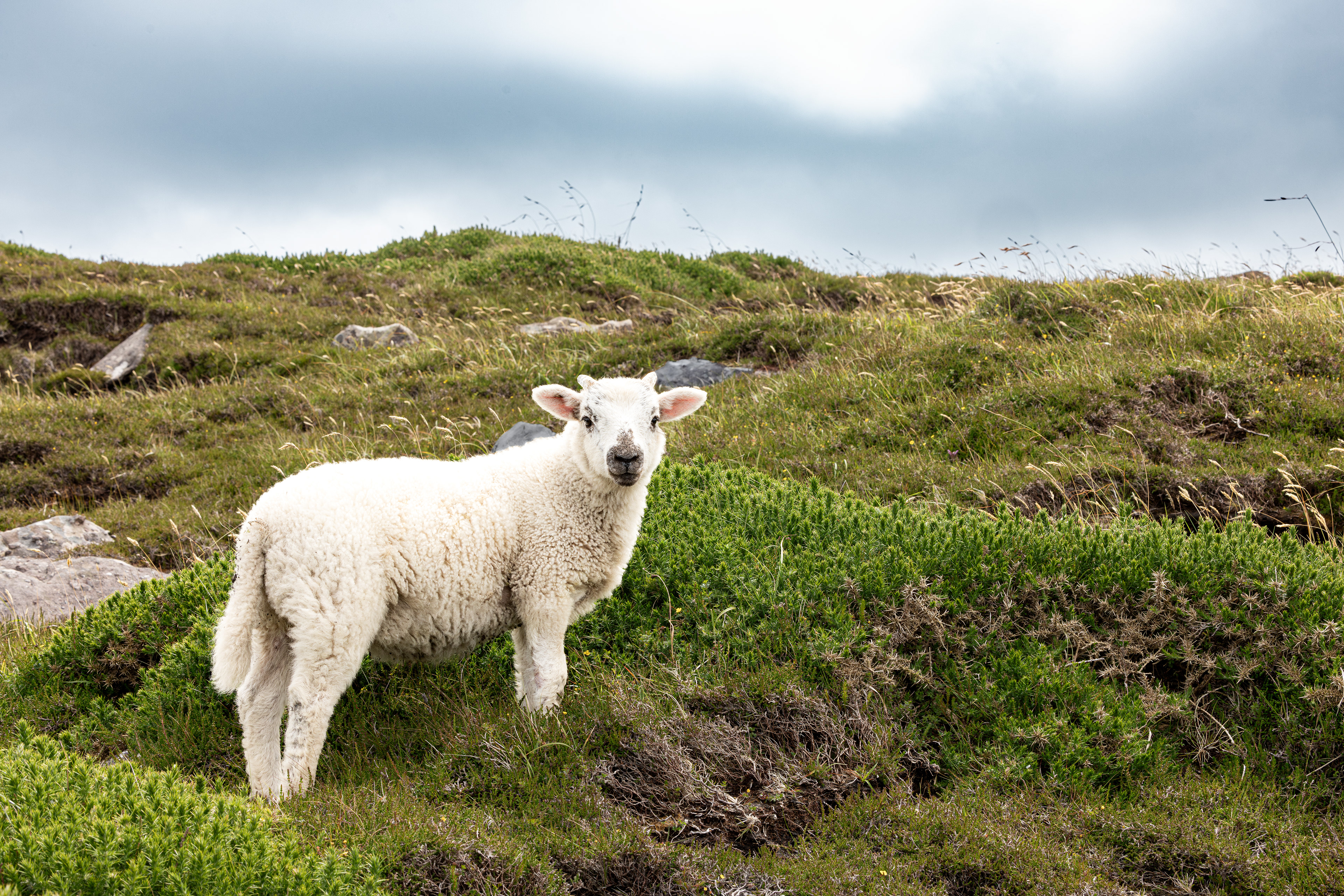 County Kerry, Ireland