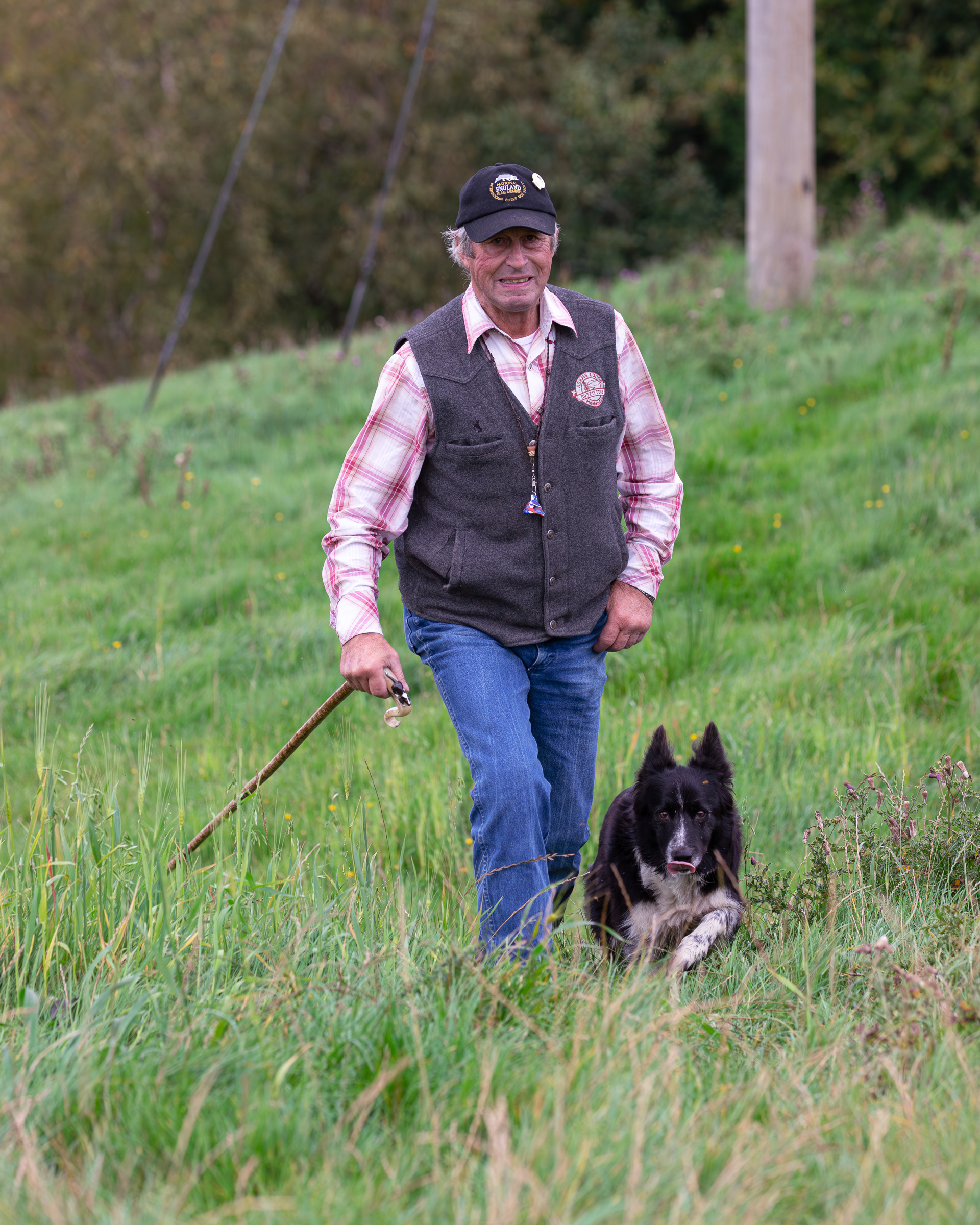 Rochester Sheep Dog Trials - B Jordan with Cis.