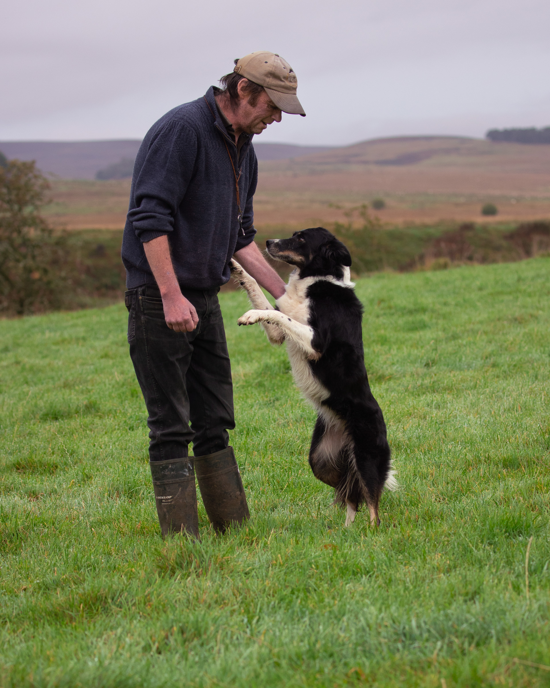 Rochester Sheep Dog Trial - G Thompson with Sky.