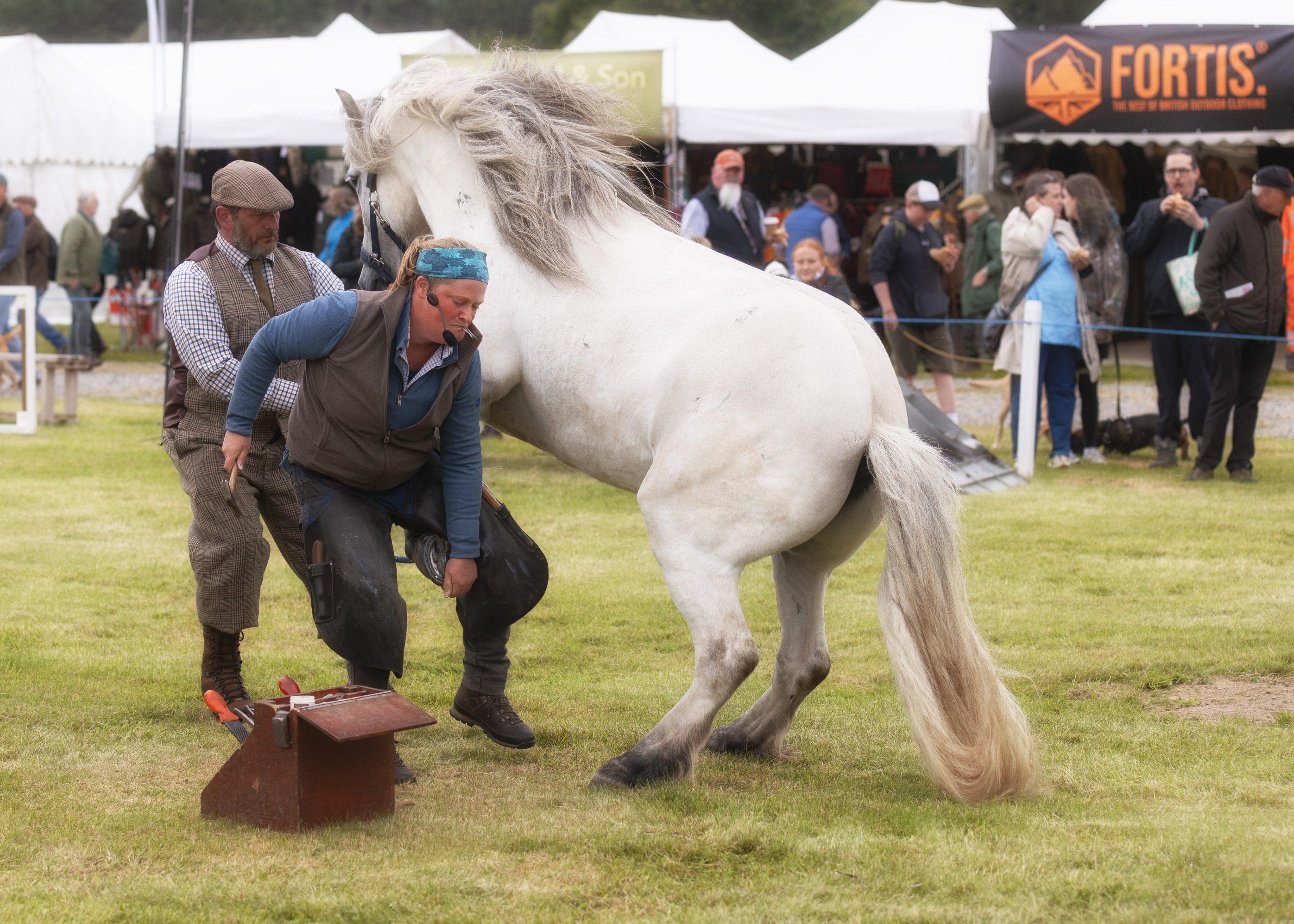 Equine Care -The Blacksmith