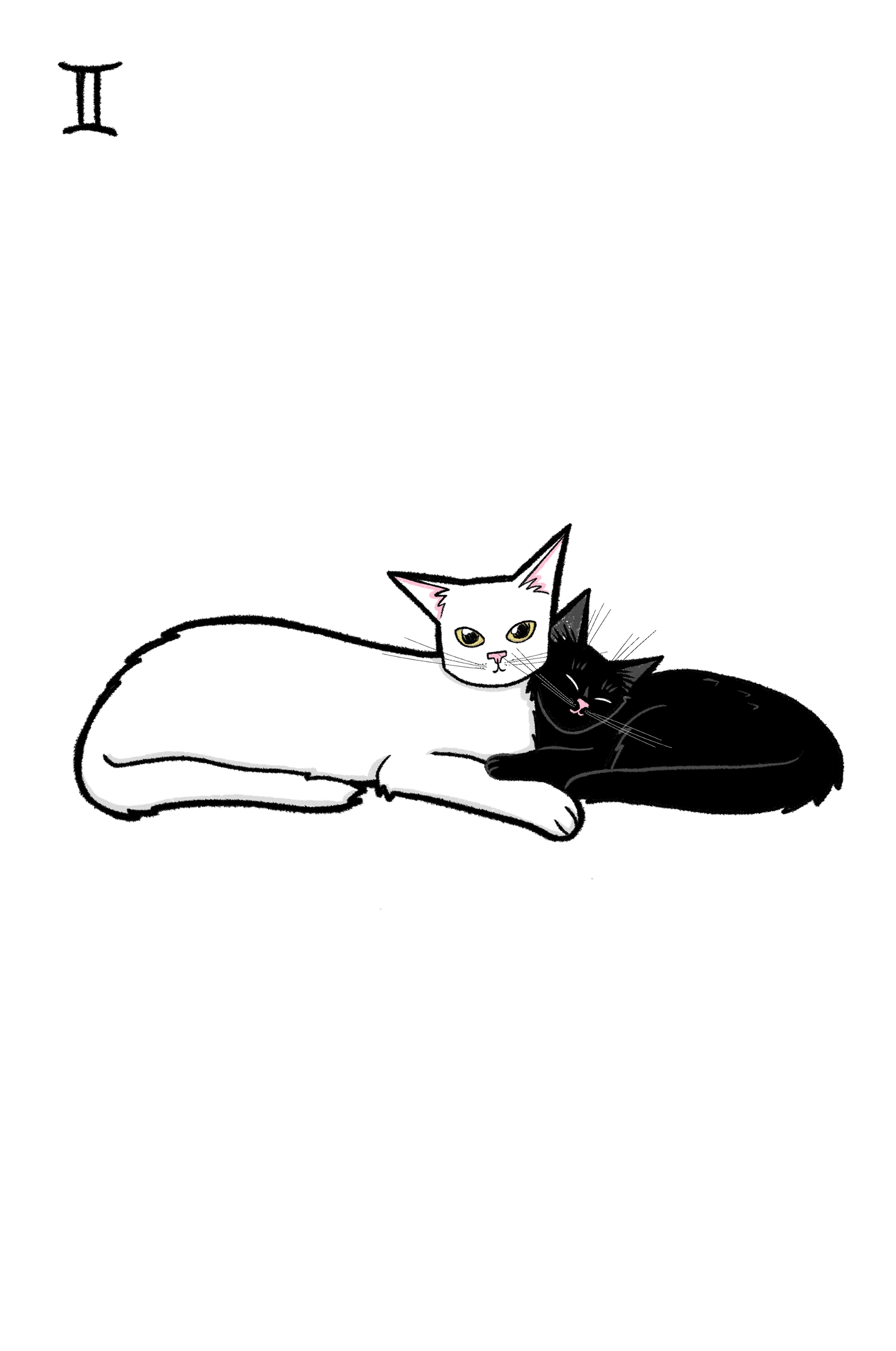 Blíženci | Gemini
