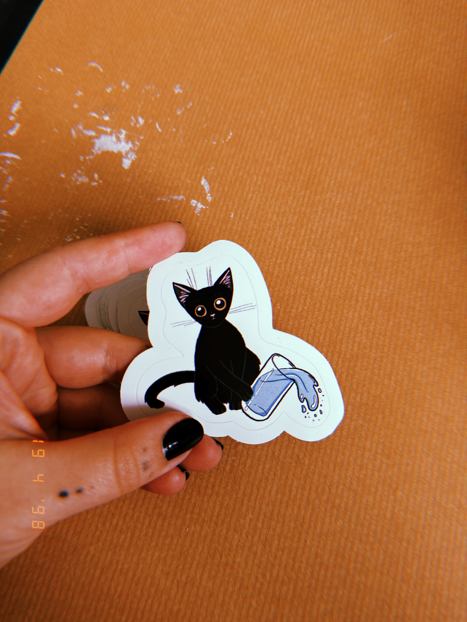 Vodnář | Aquarius