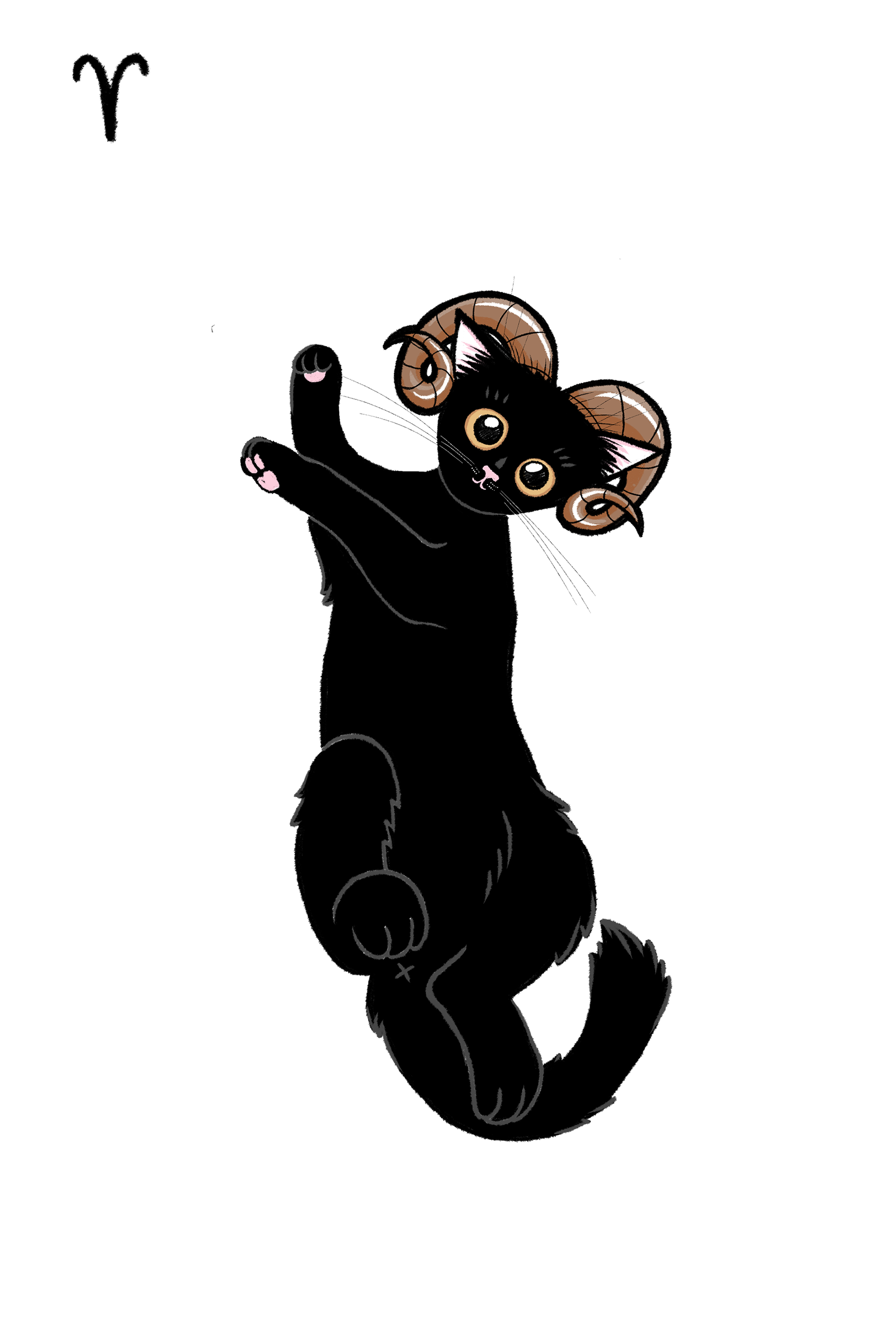 Beran | Aries