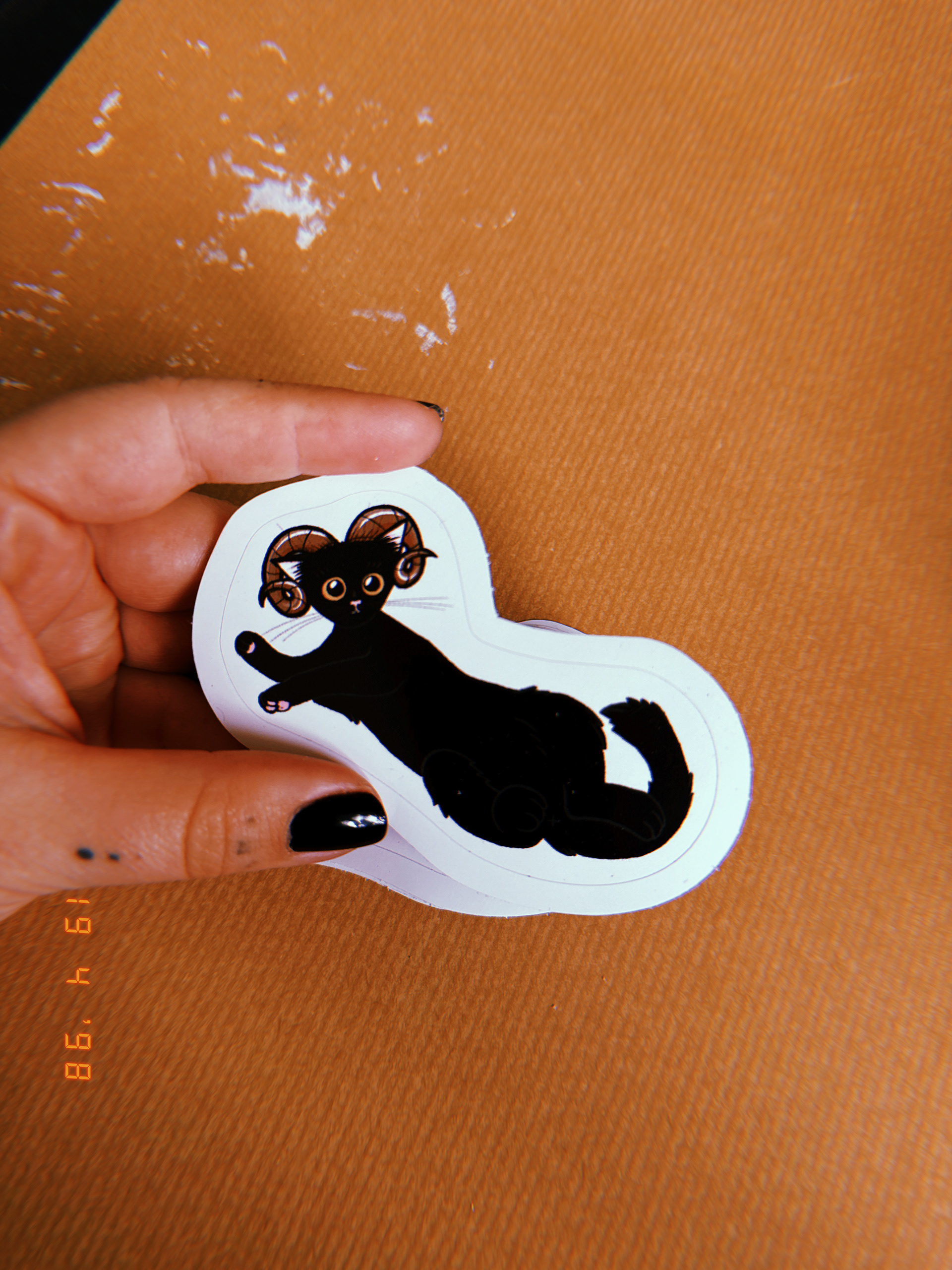 Beran | Aries