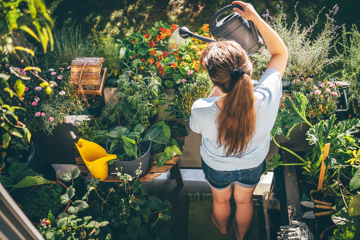 Nurturing plants, nurturing soul. A small act of care brings inner balance