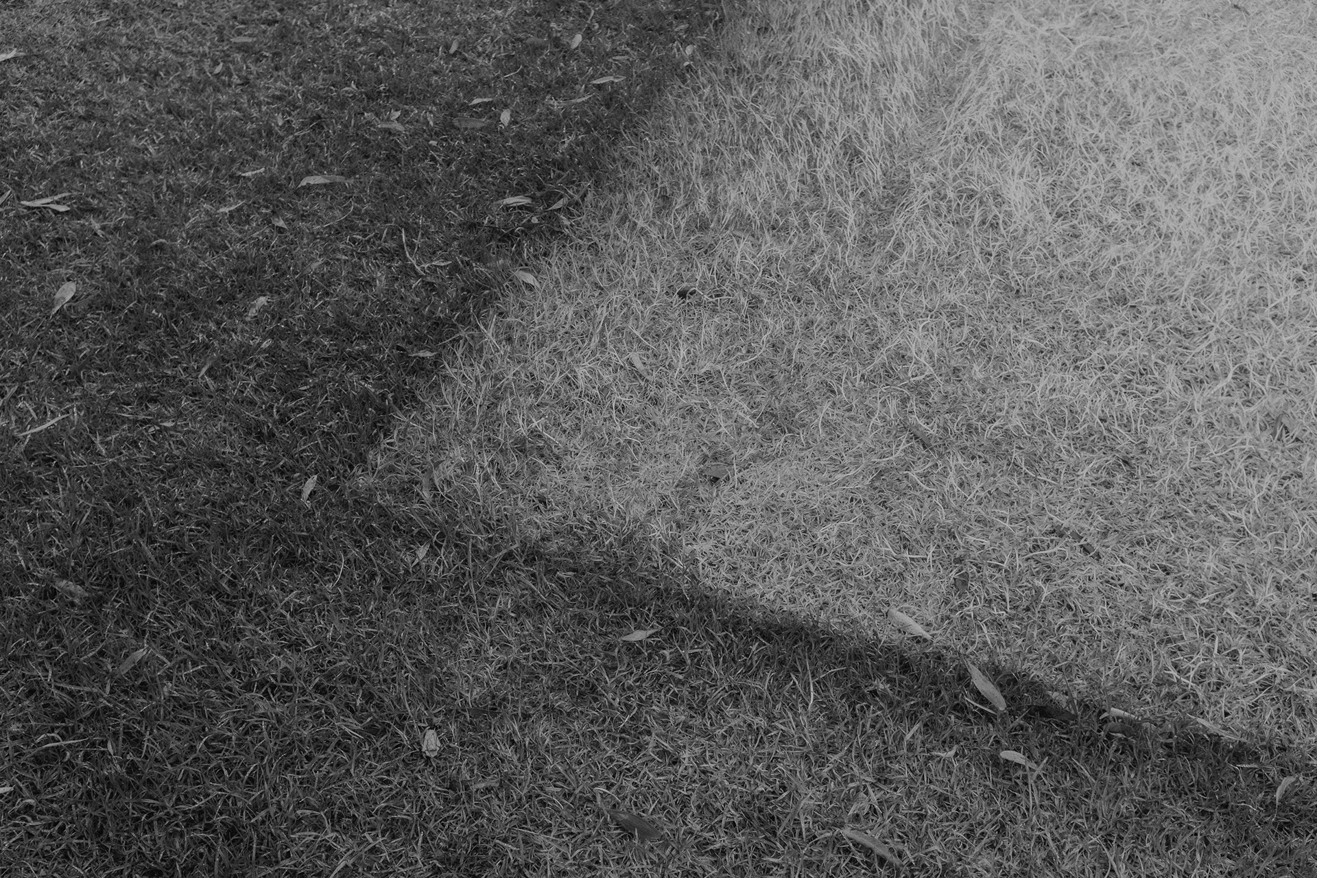 EJ - I asked about it, EJ said it was a dried patch of grass in her backyard