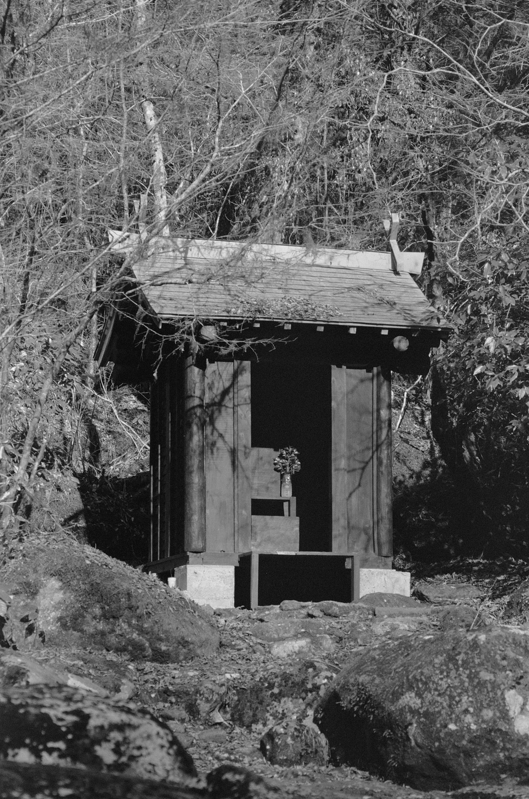 K - EJ asks about this image, I say its a shrine for the forest that surrounds it