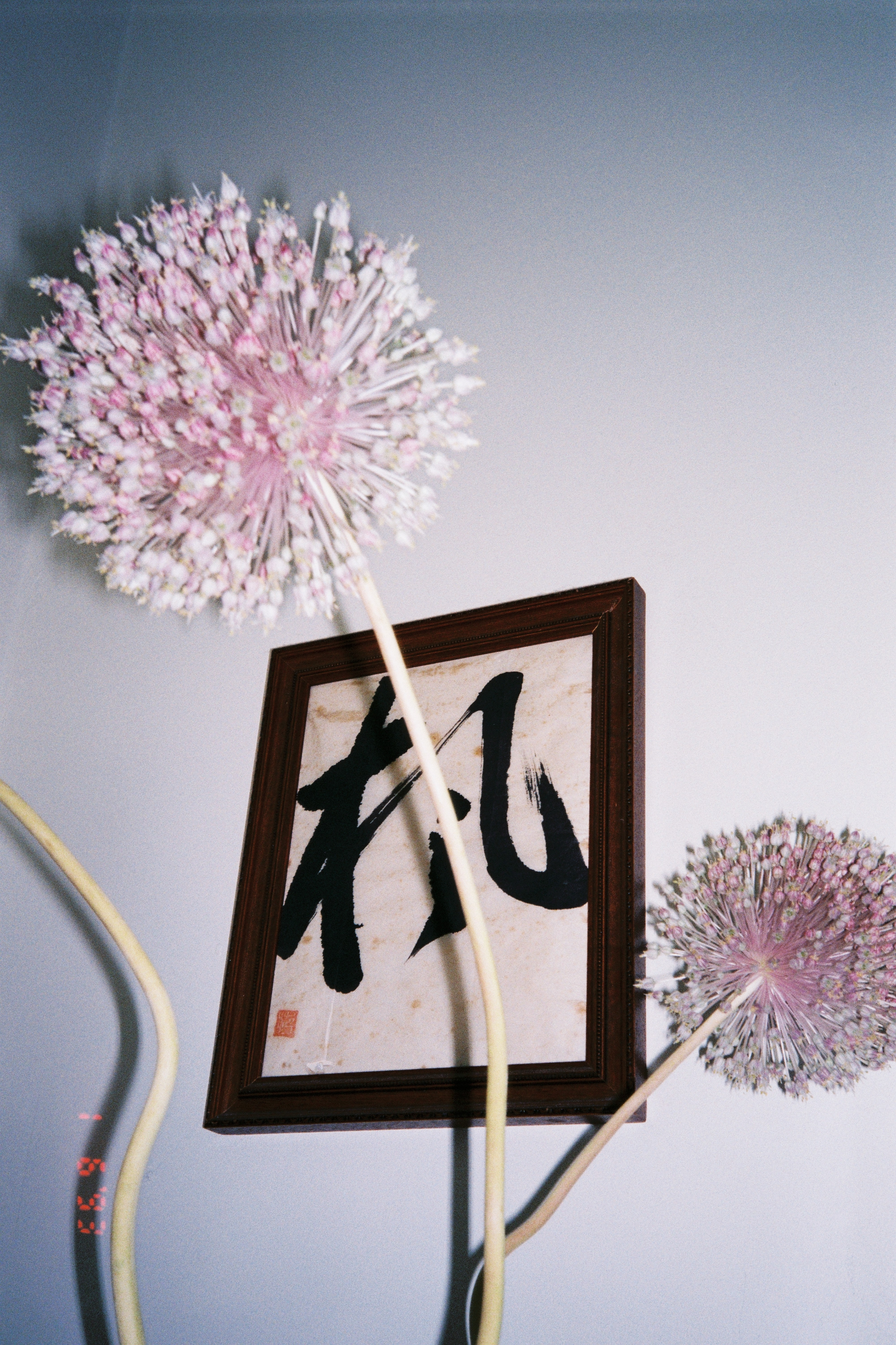 K - EJ asked what this says, I tell her that this is my name written in Kanji