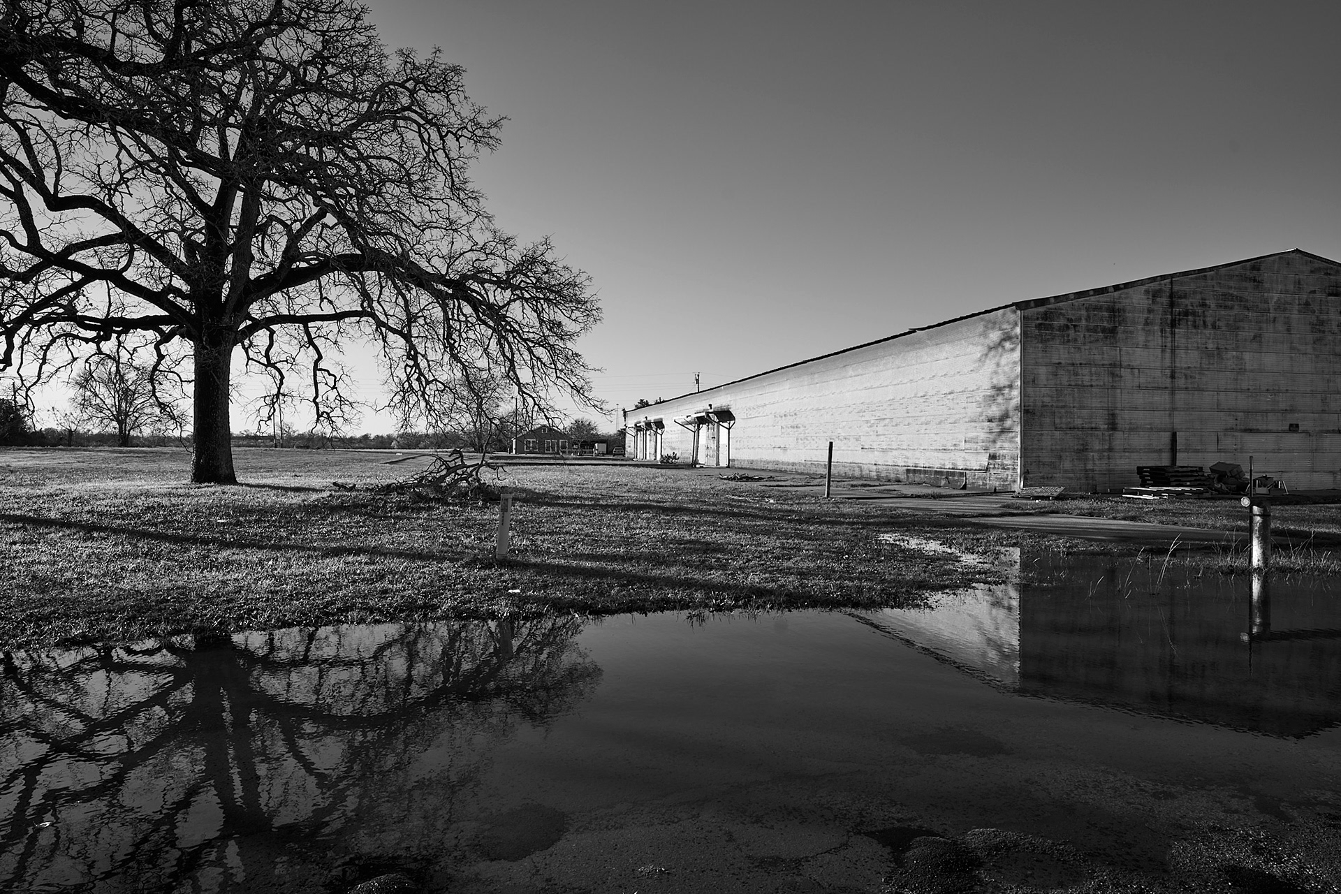 Cameron TX