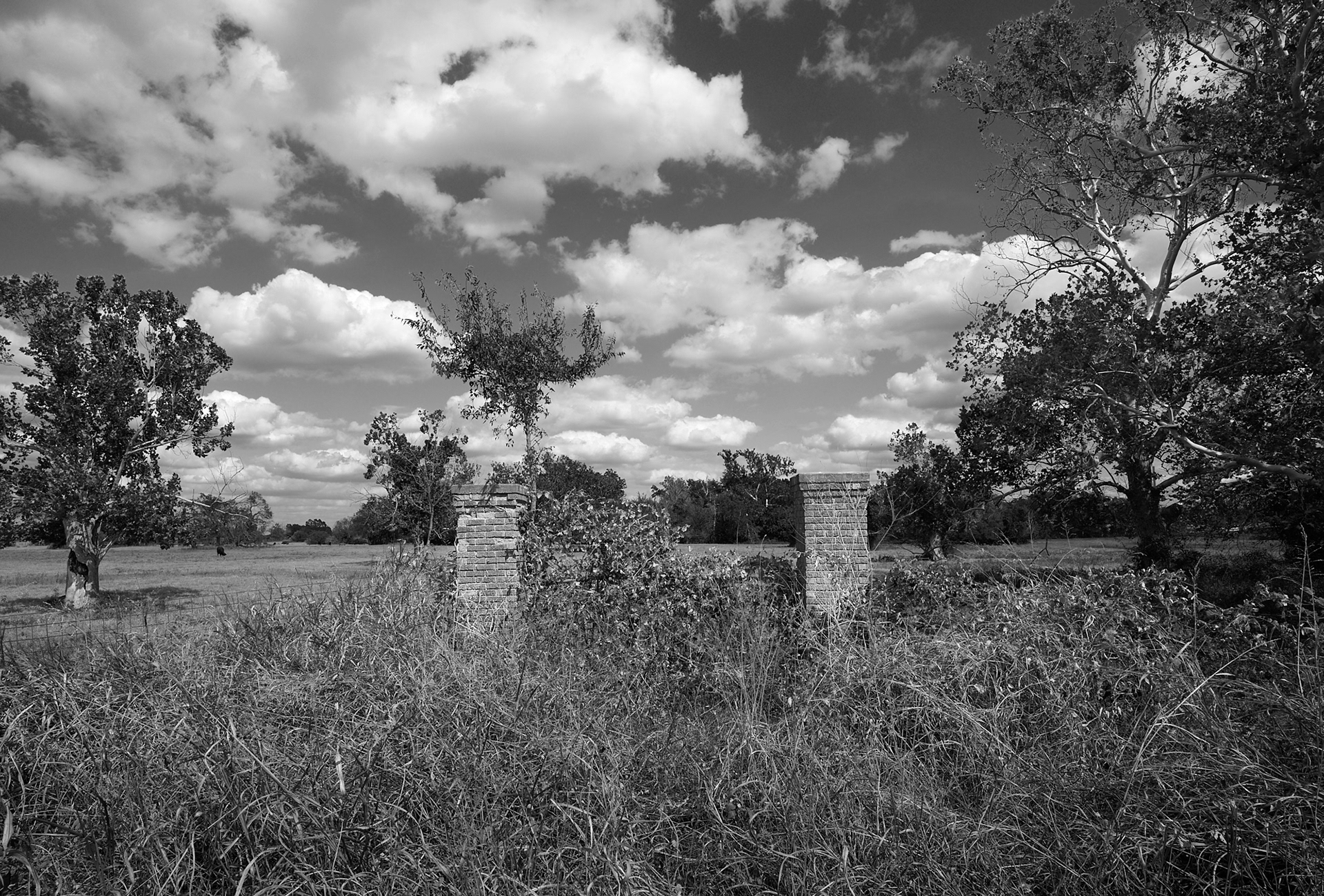 The Sycamores | Cameron TX