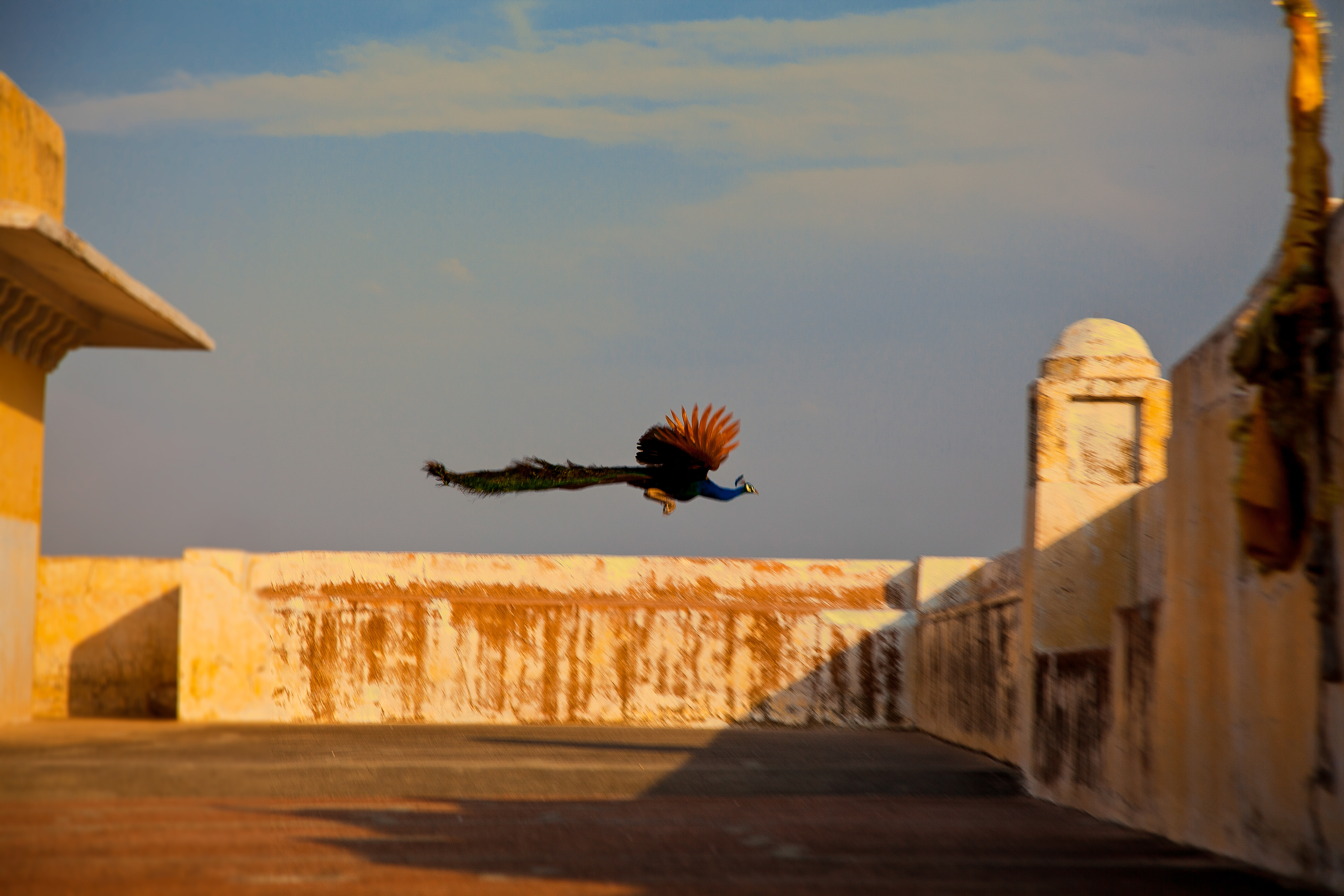 Jaipur Amer