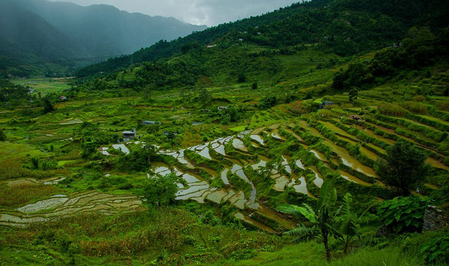 Pokhara