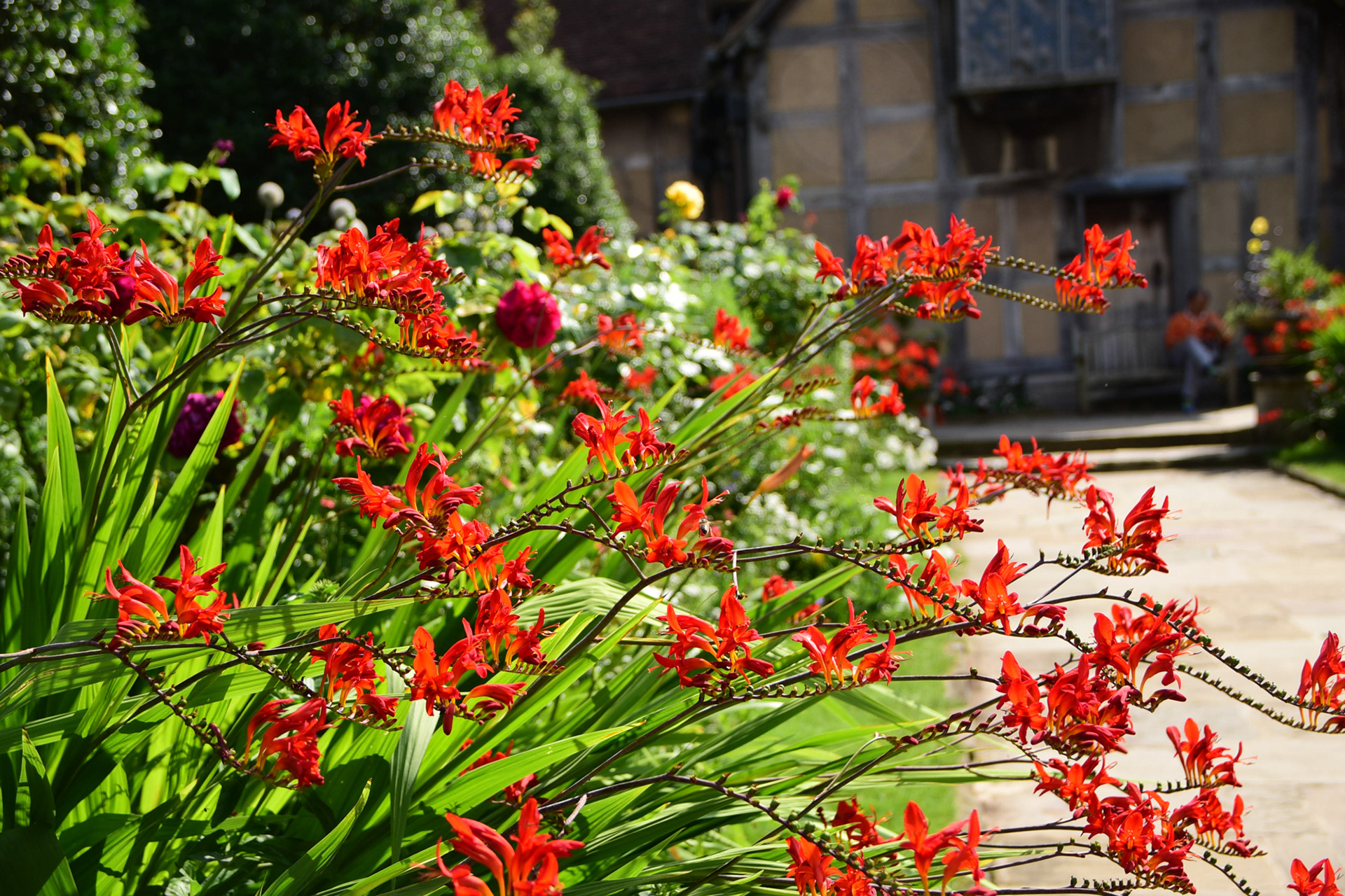 Shakespeare's home