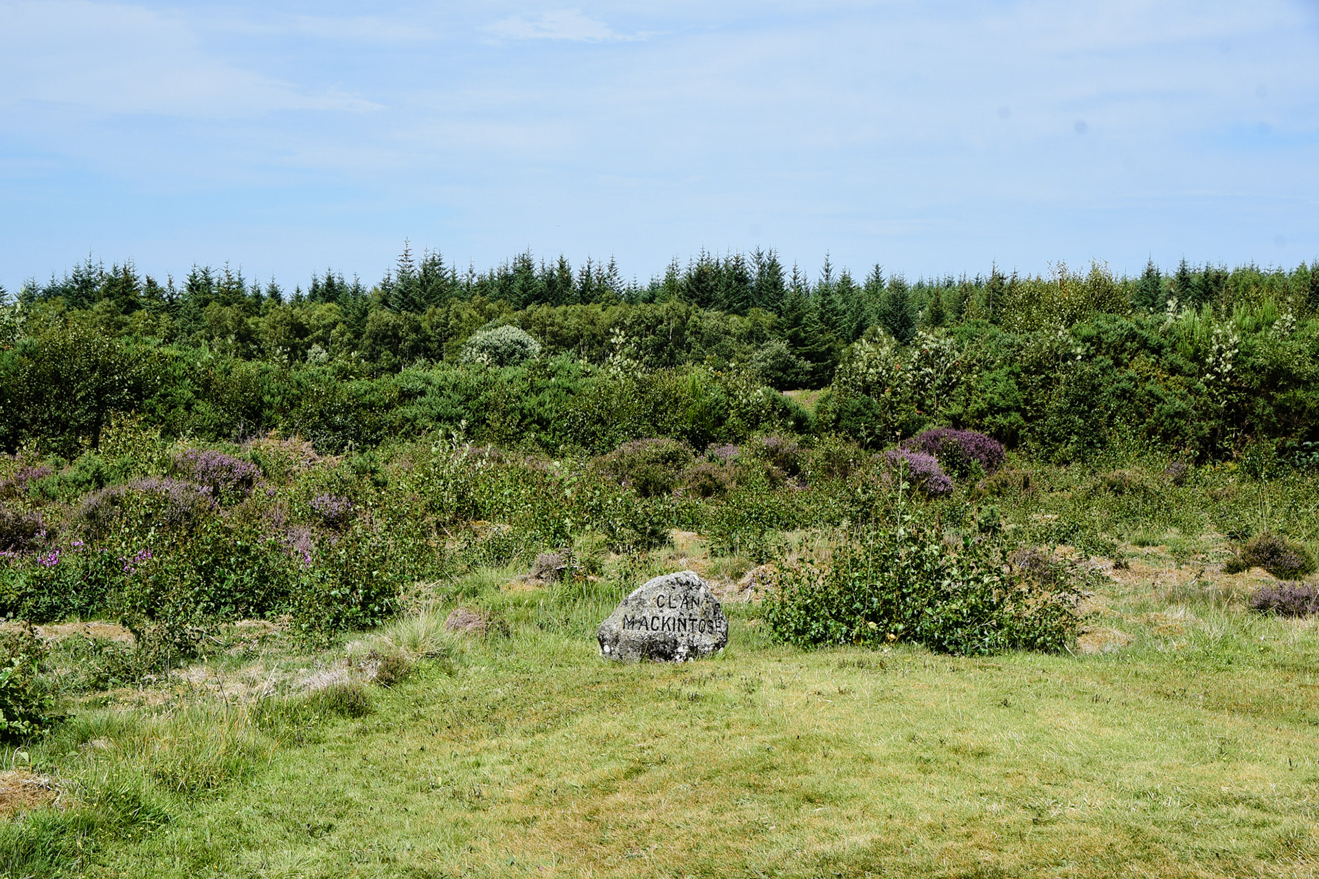 Colloden Moor