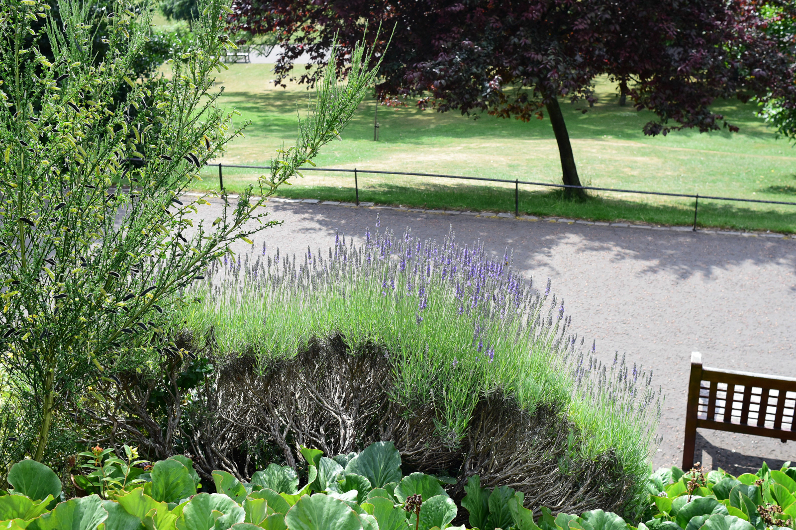 Prince's St. Garden, Edinburgh