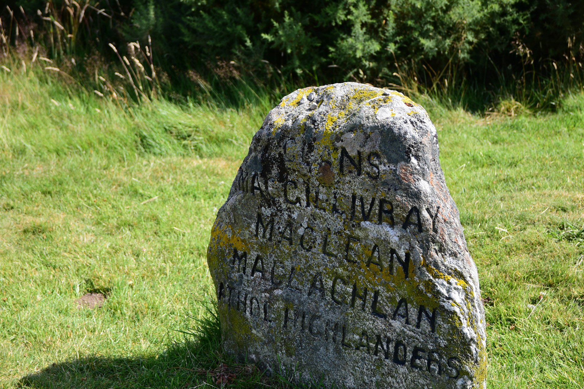 Colloden Moor