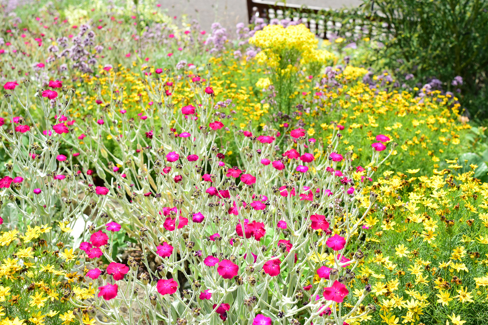 Prince's St. Garden, Edinburgh