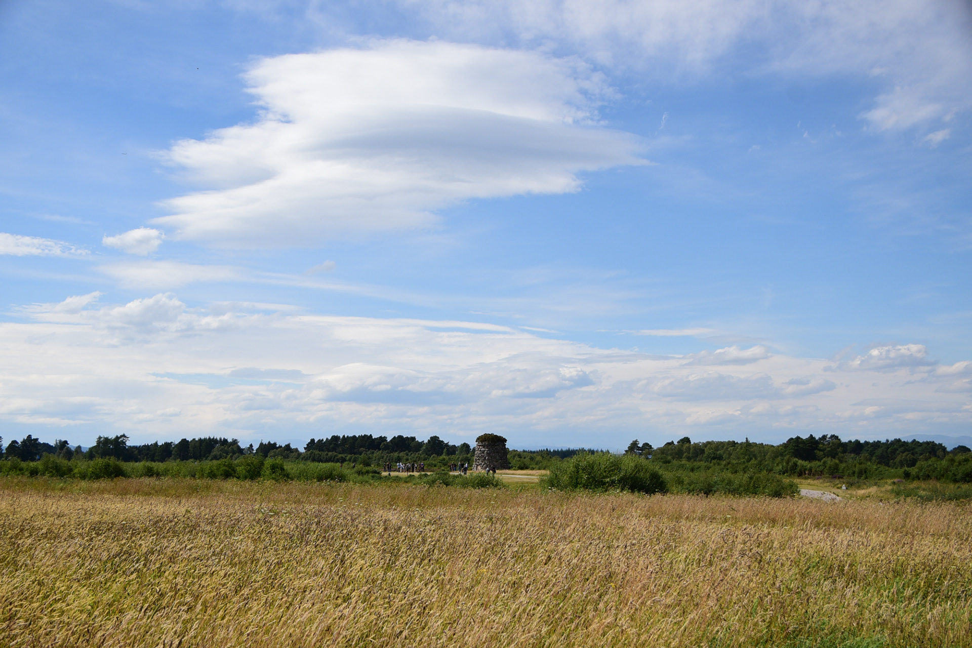 Colloden Moor