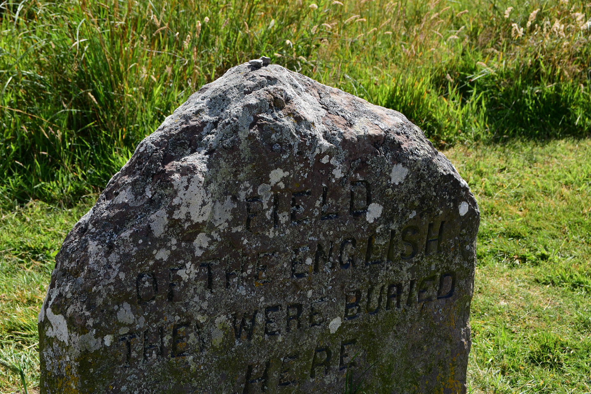 Colloden Moor