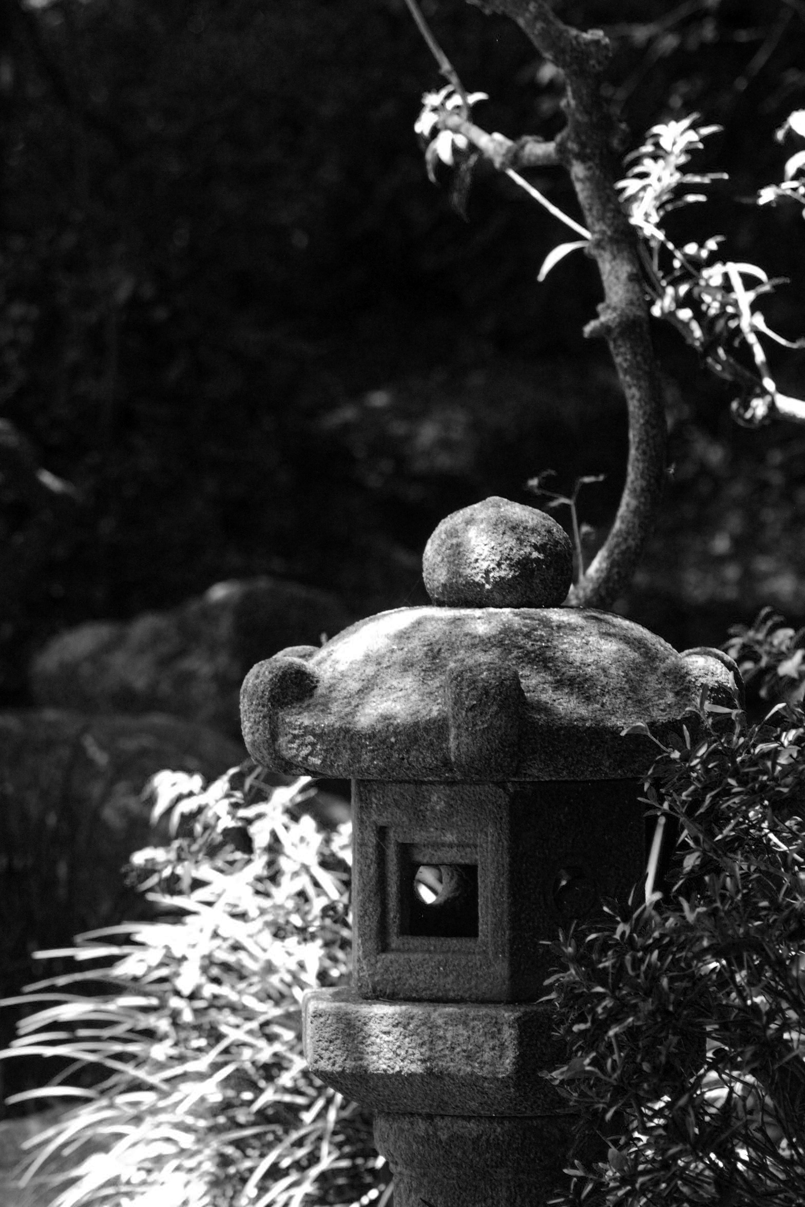 Asian Garden