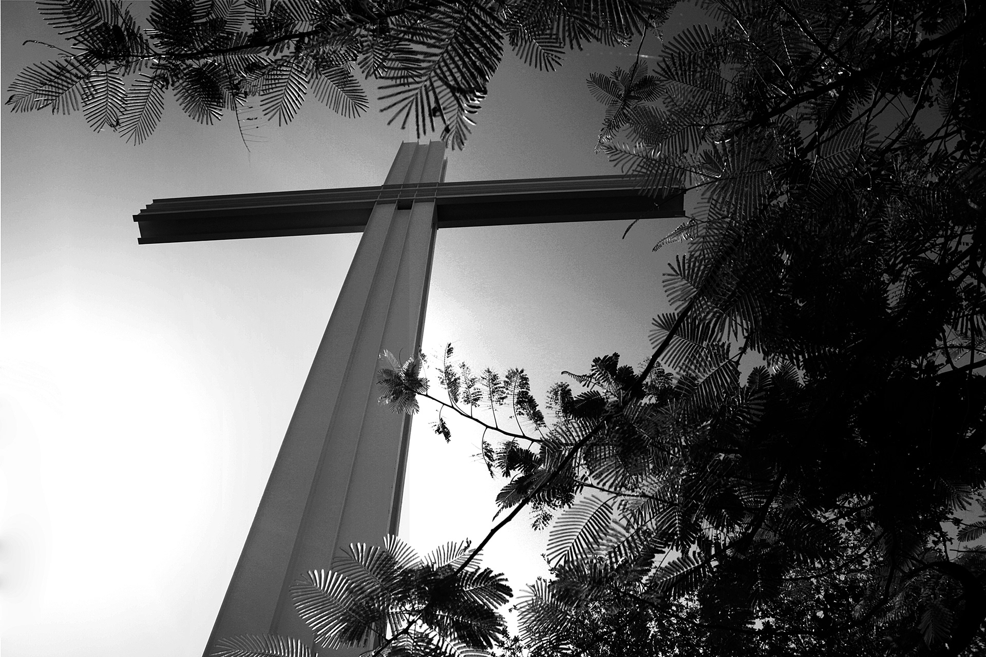 Cross in the trees