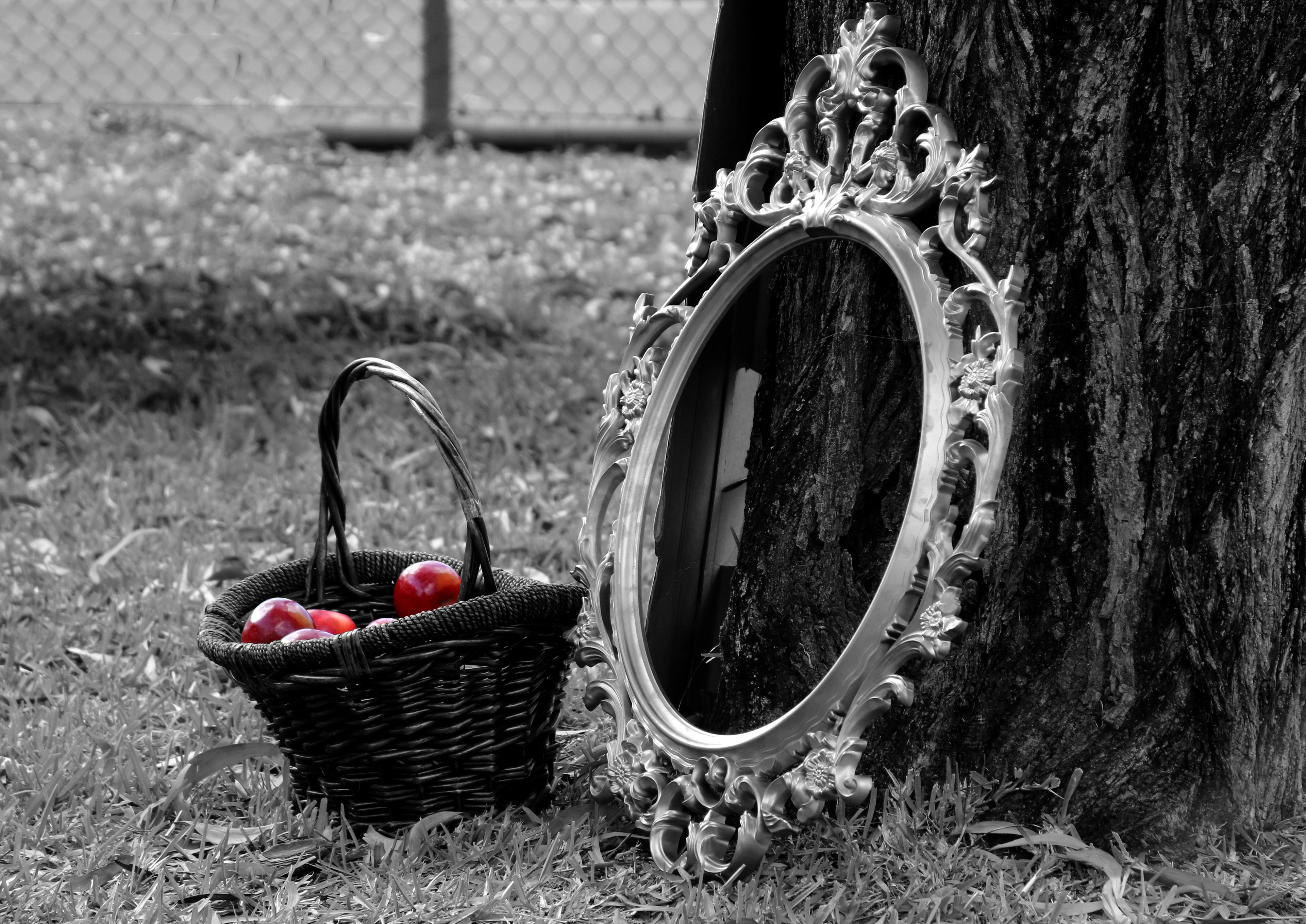 Little red riding hood