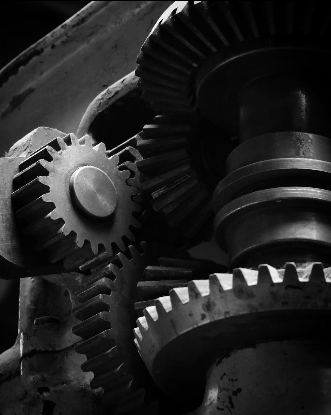Gears close-up
