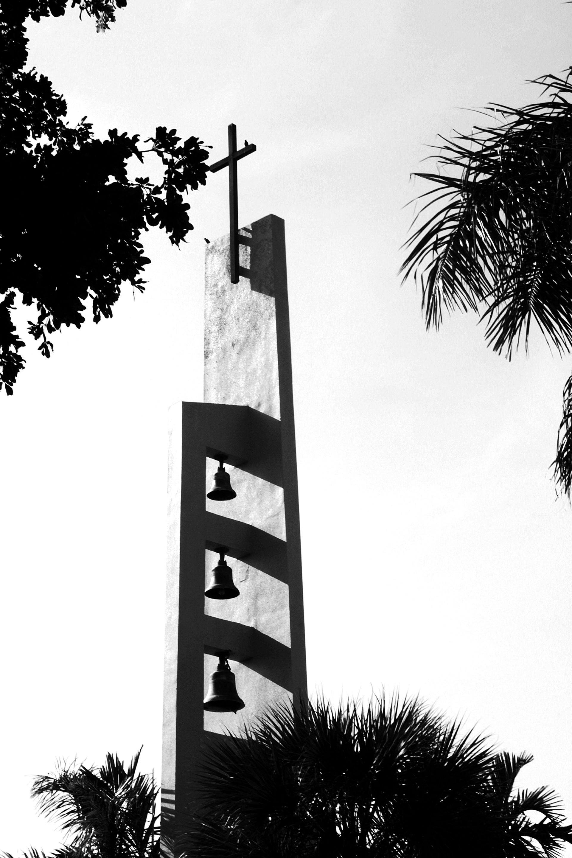 Bells at OLL