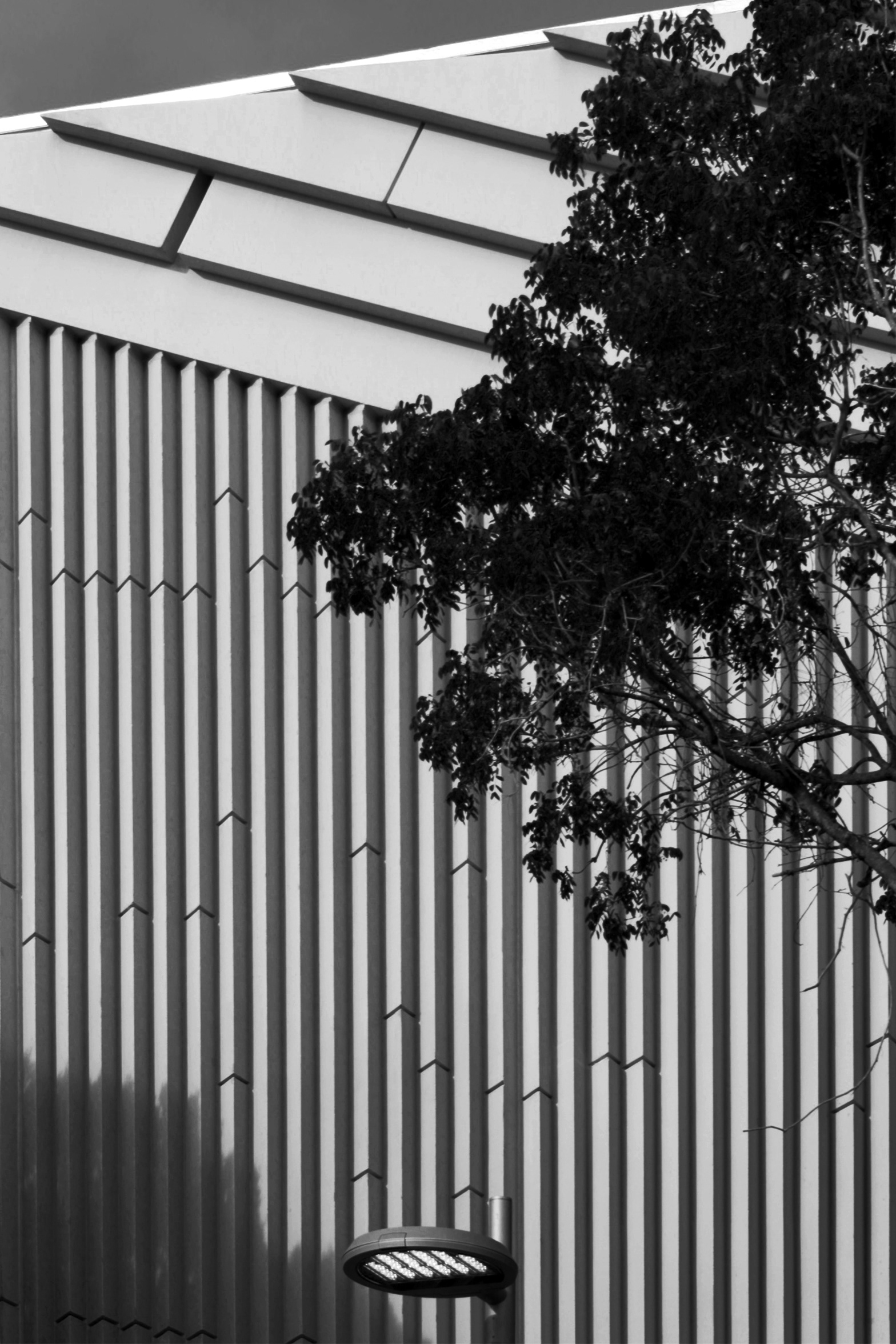 Linear