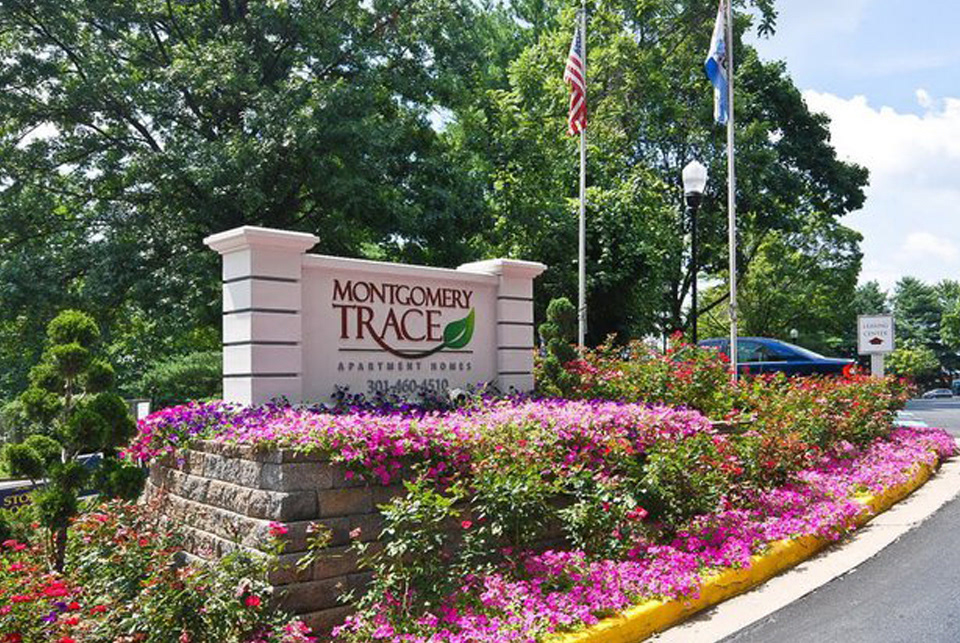 montgomery trace apartments  |  logo design