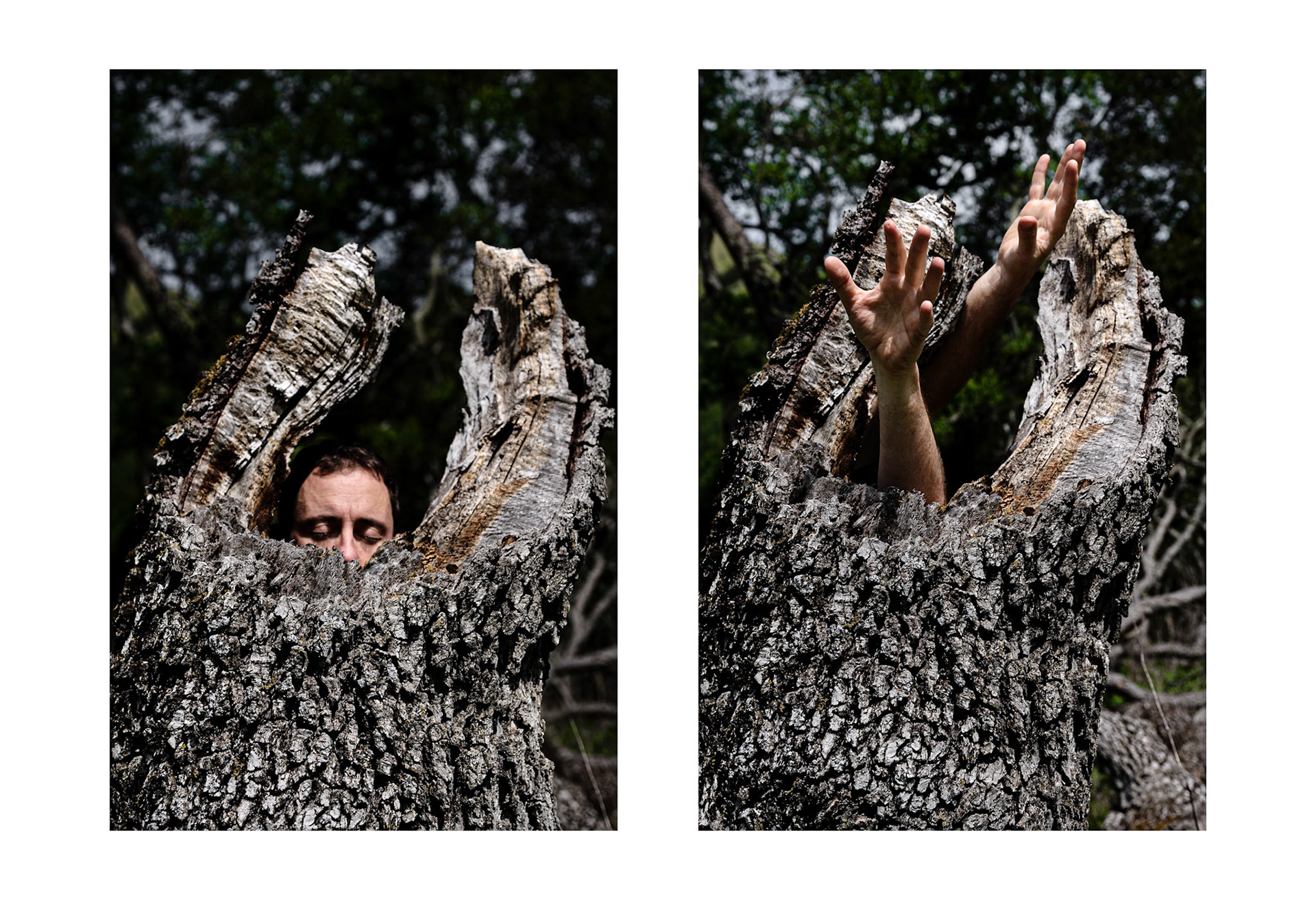 Raised by the Forest